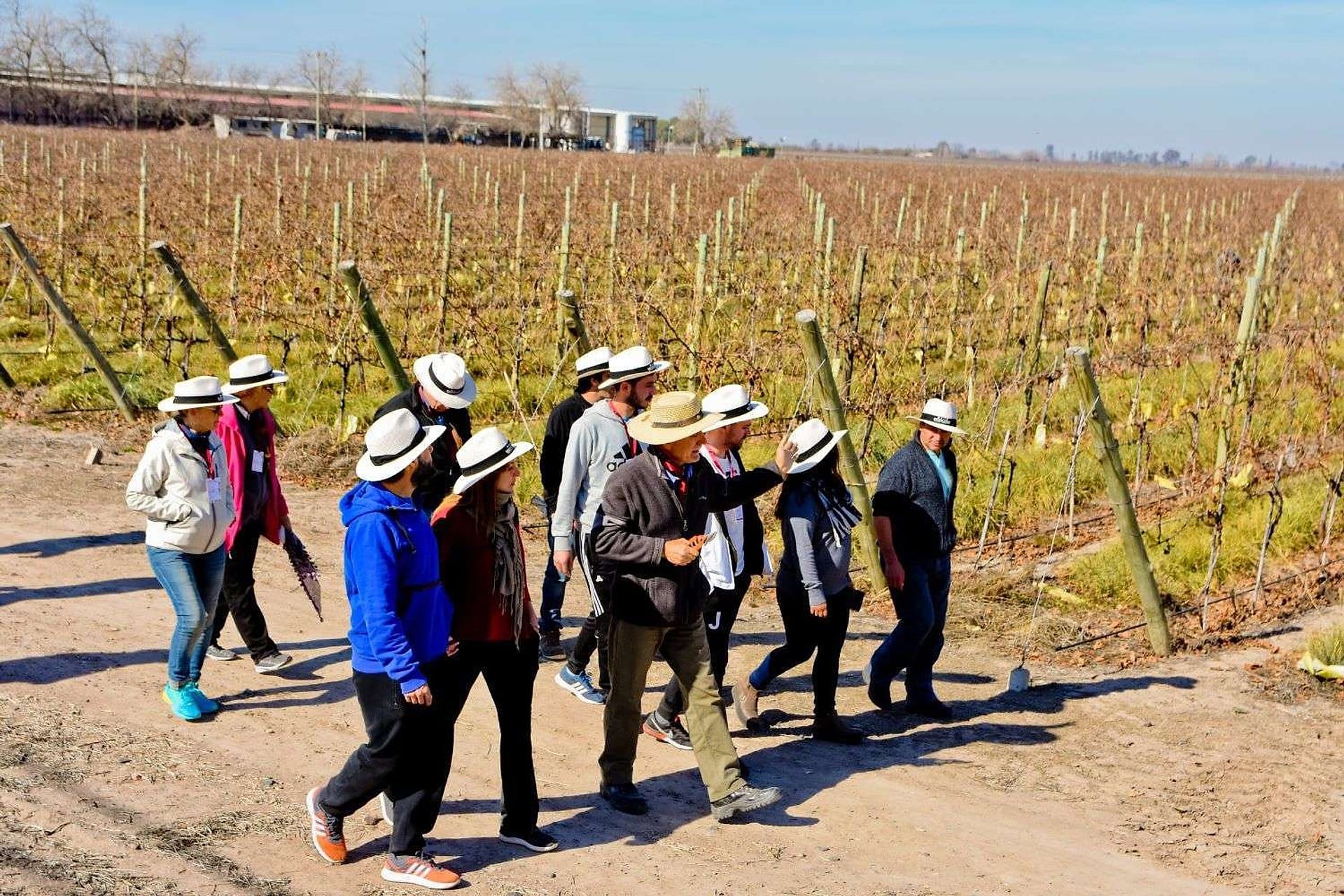 Ruta del Vino en San Juan