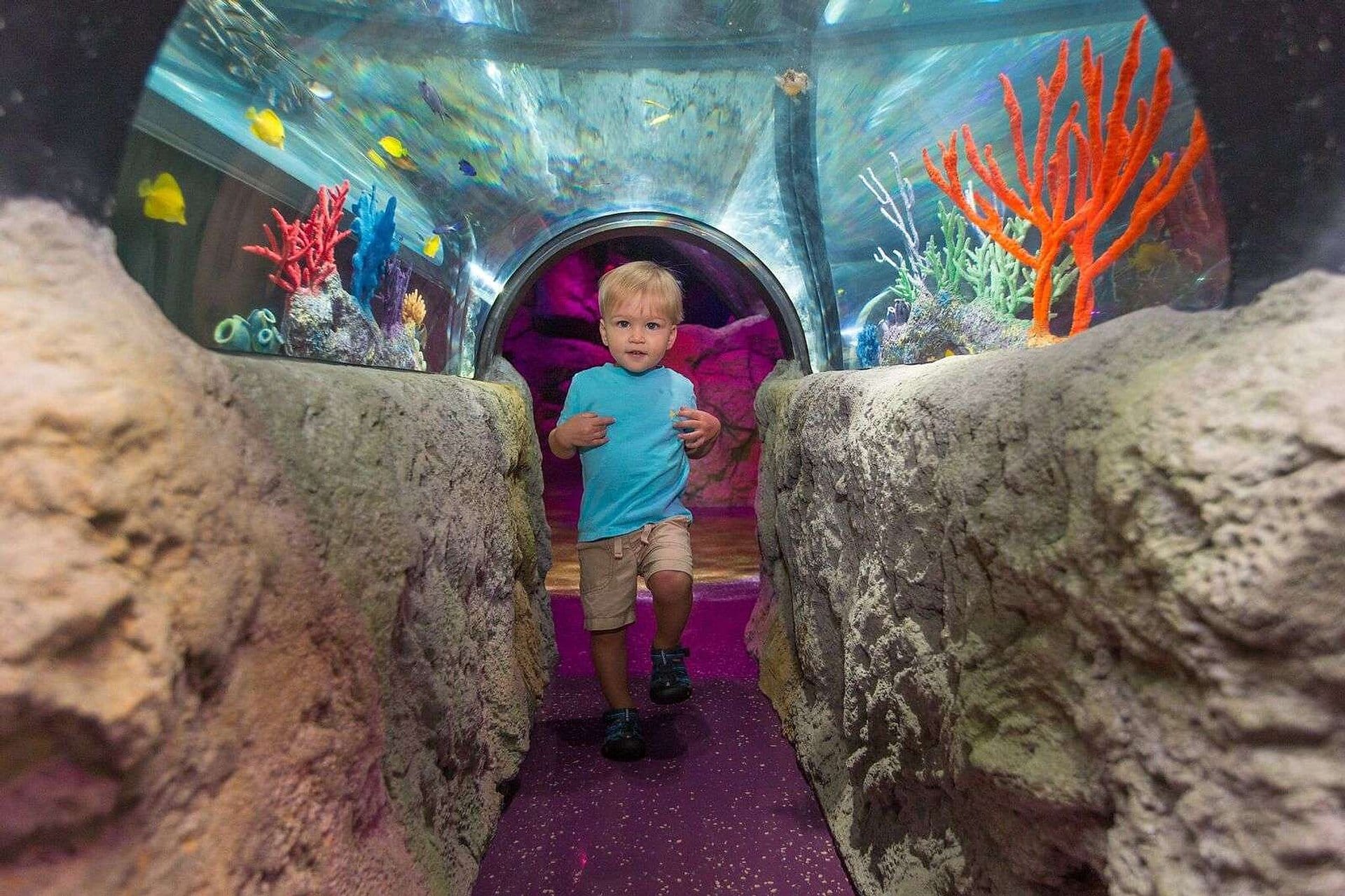 Entrada combinada Madame Tussauds y Sea Life