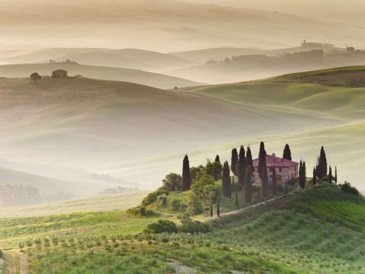 Toscana: comida y degustación de vinos