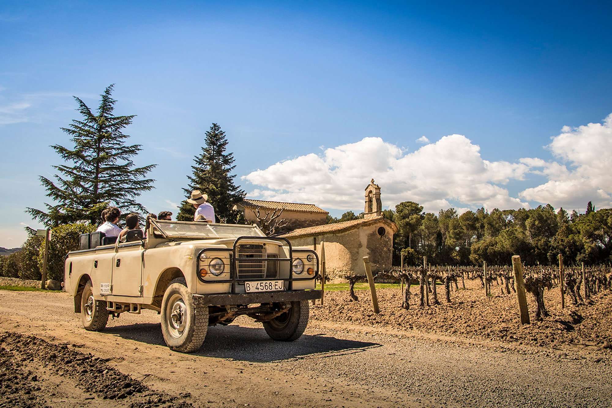 Vino, cava y tapas con ruta 4x4 en viñedos