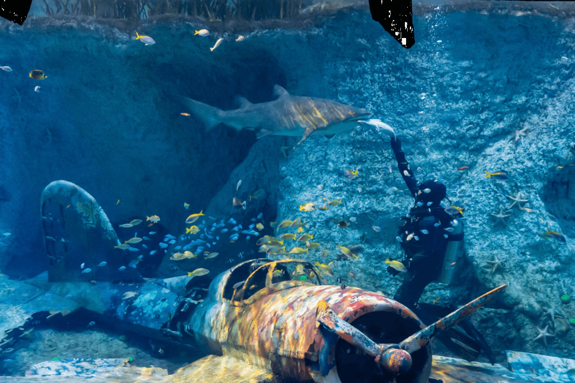 Entrada al Acuario Nacional
