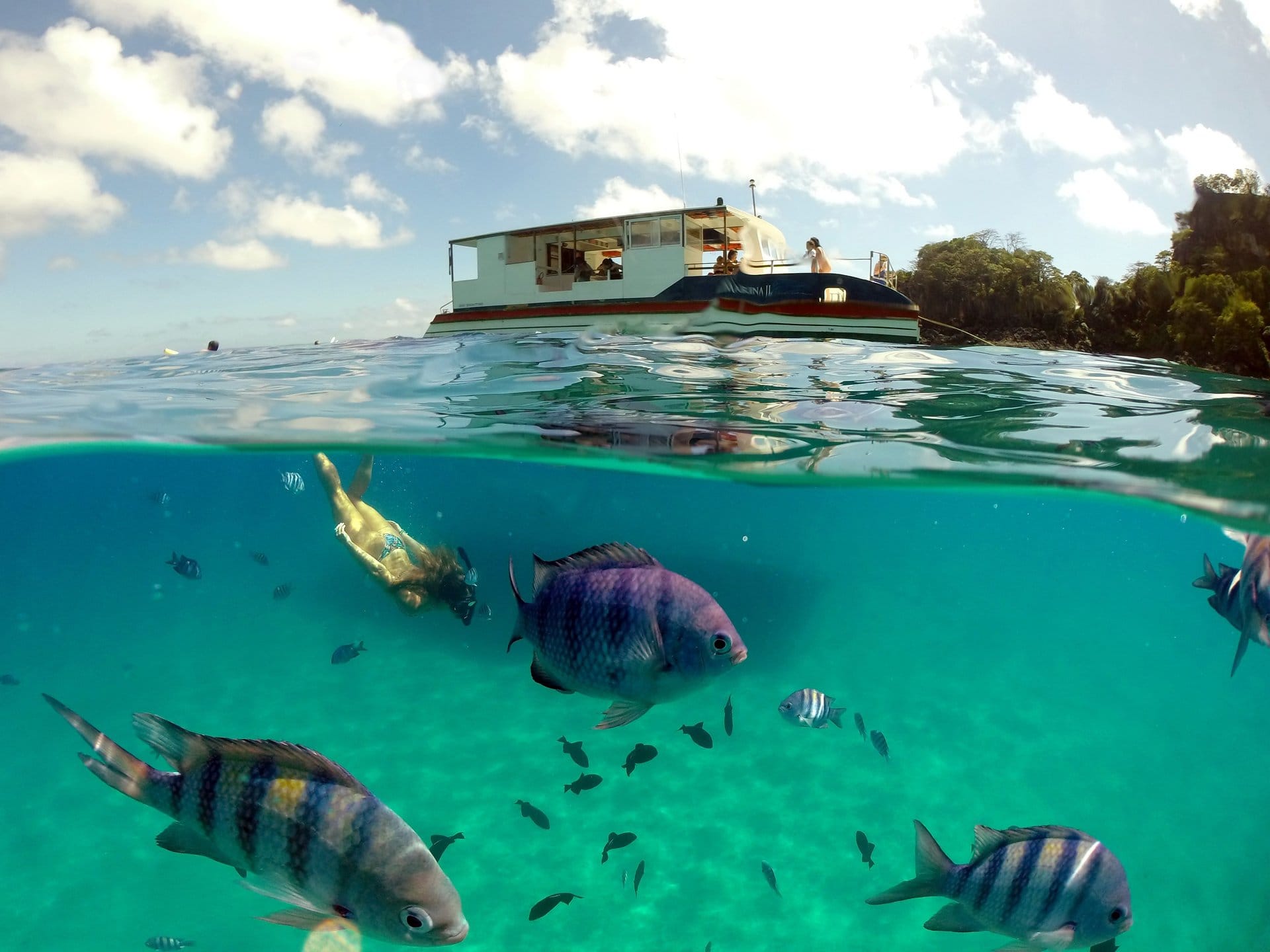 Barco por Noronha y Bahía del Sancho