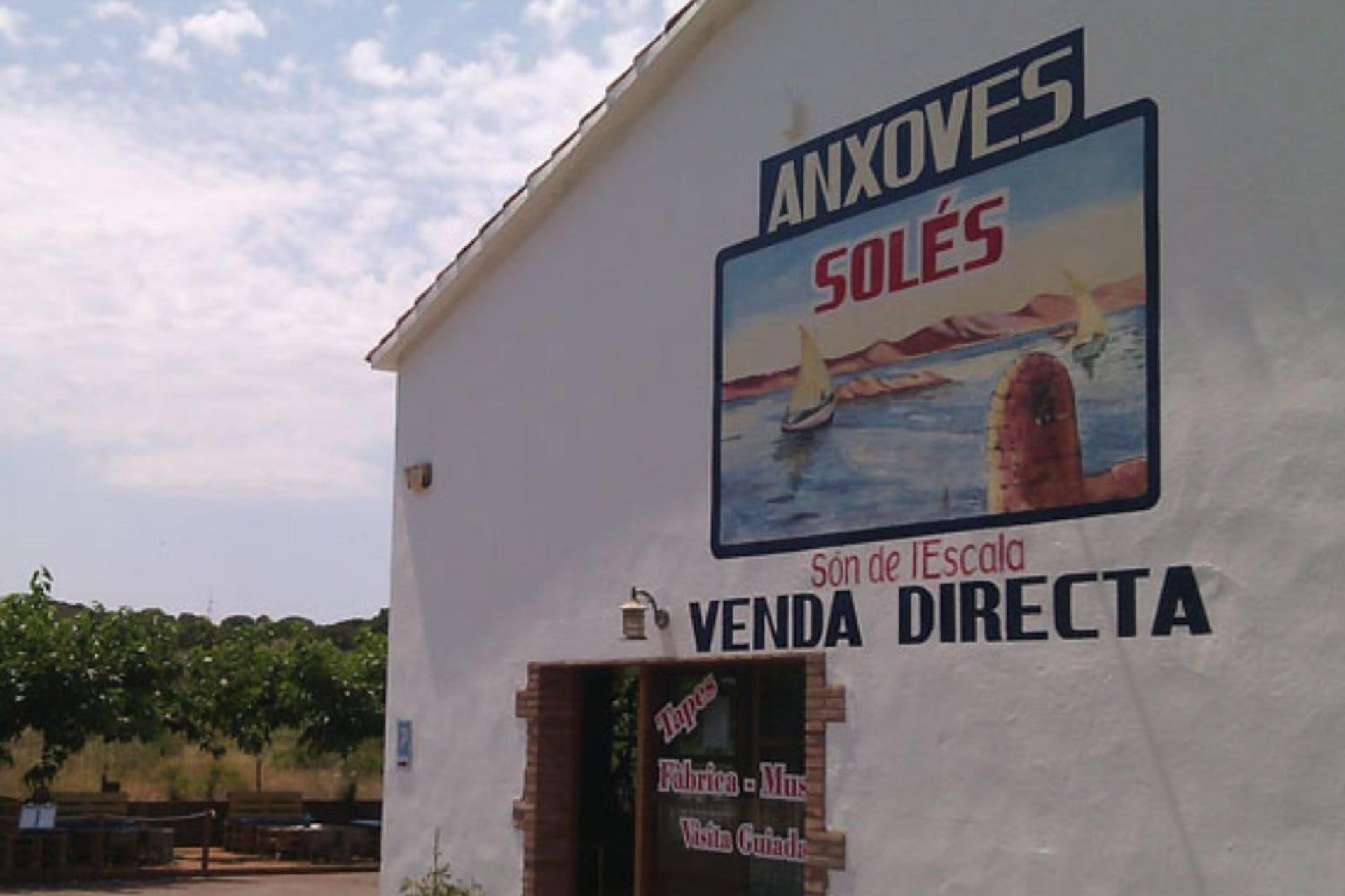 Fábrica-Museo de la Anchoa con degustación