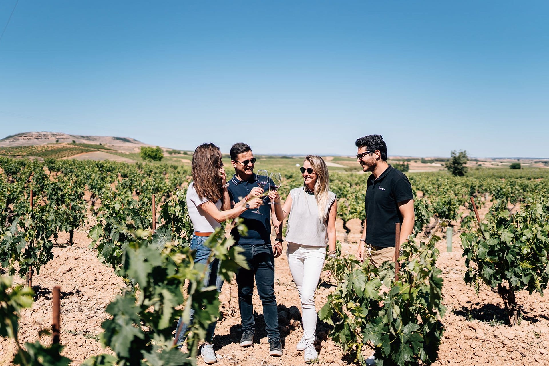 Bodegas Ribera del Duero y Segovia