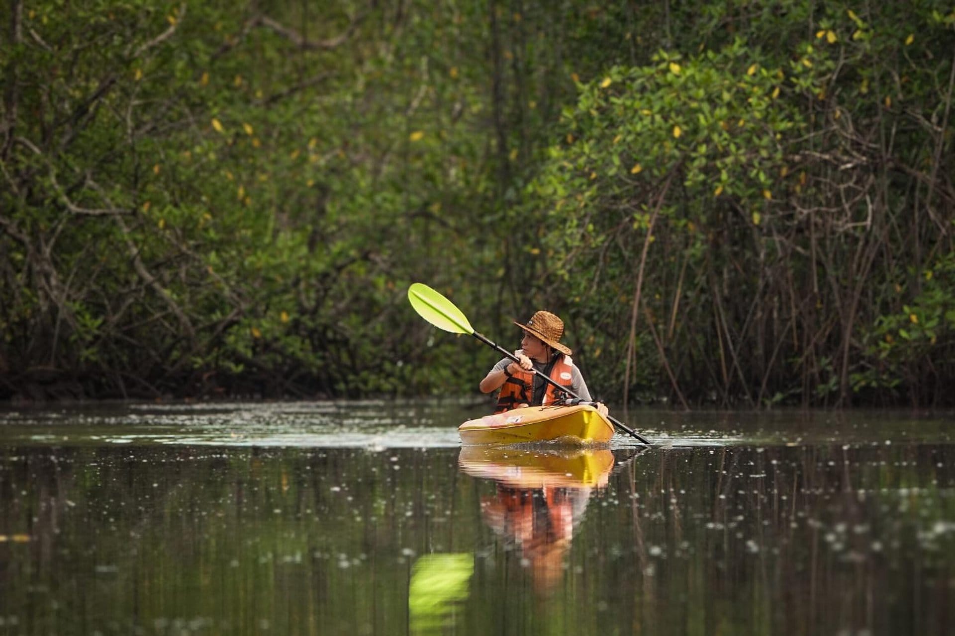 Kayak por manglares en Punta de Tierra