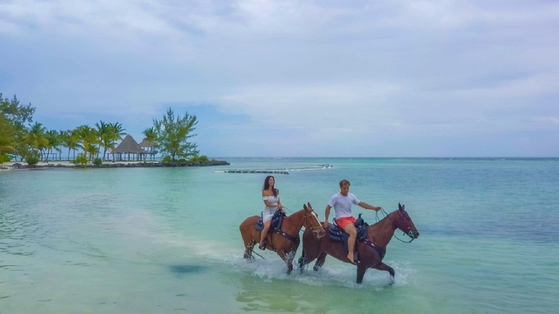 Nado con caballos en la playa