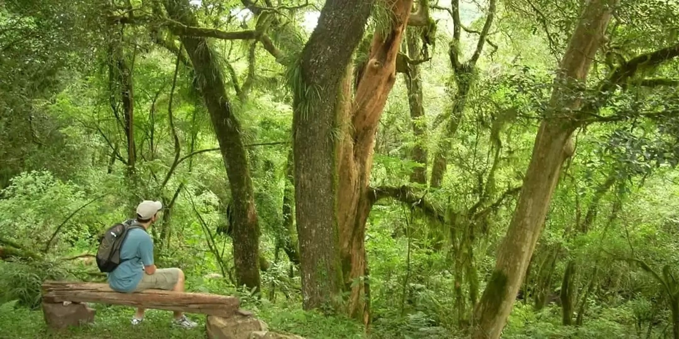 Trekking en San Lorenzo, Salta