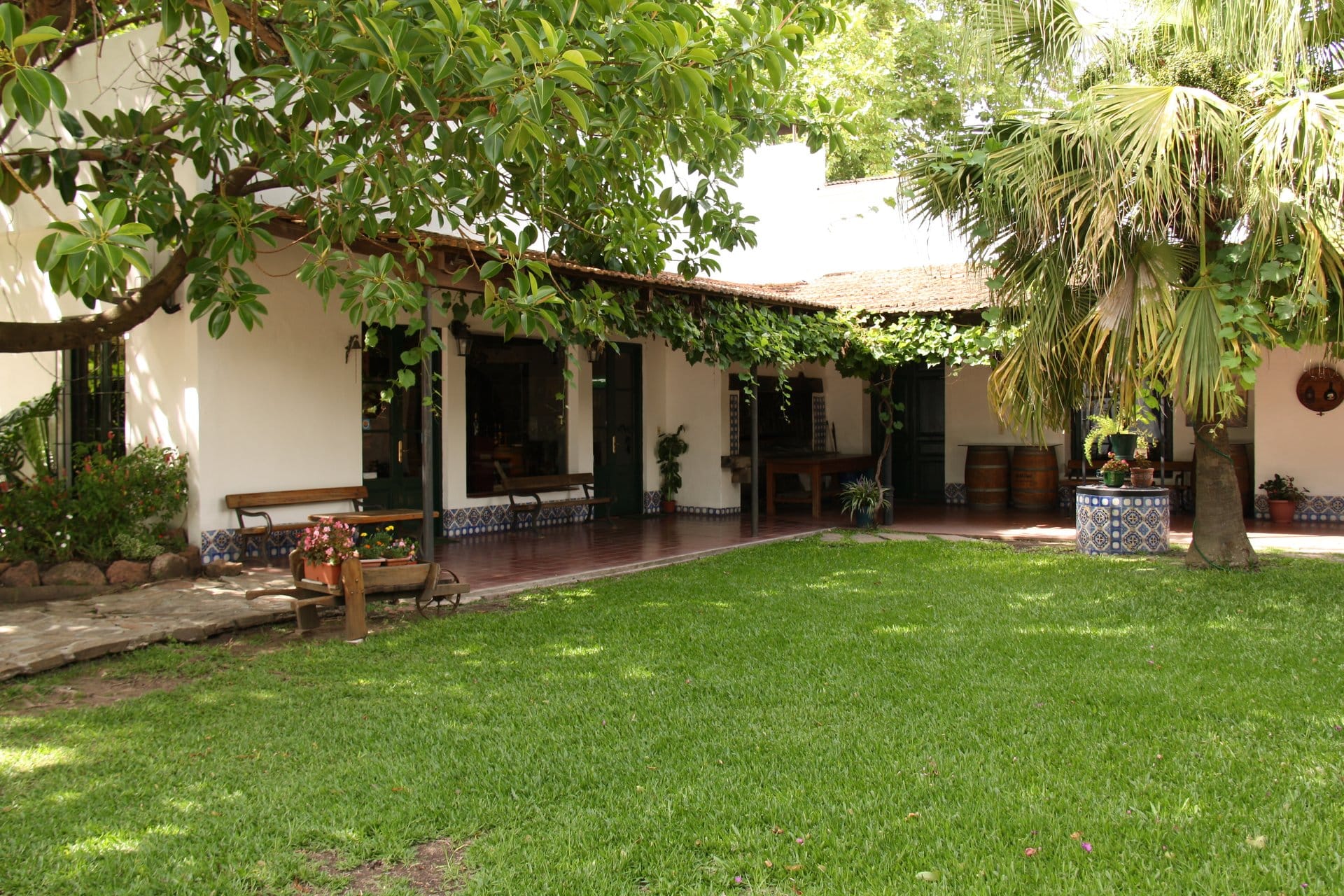 Visita a la Bodega Carrau