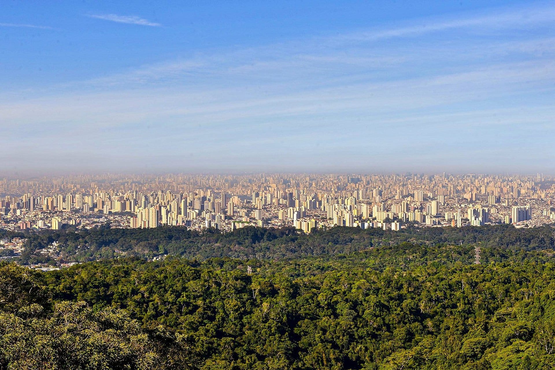 Tour ecológico Parque Estatal Cantareira
