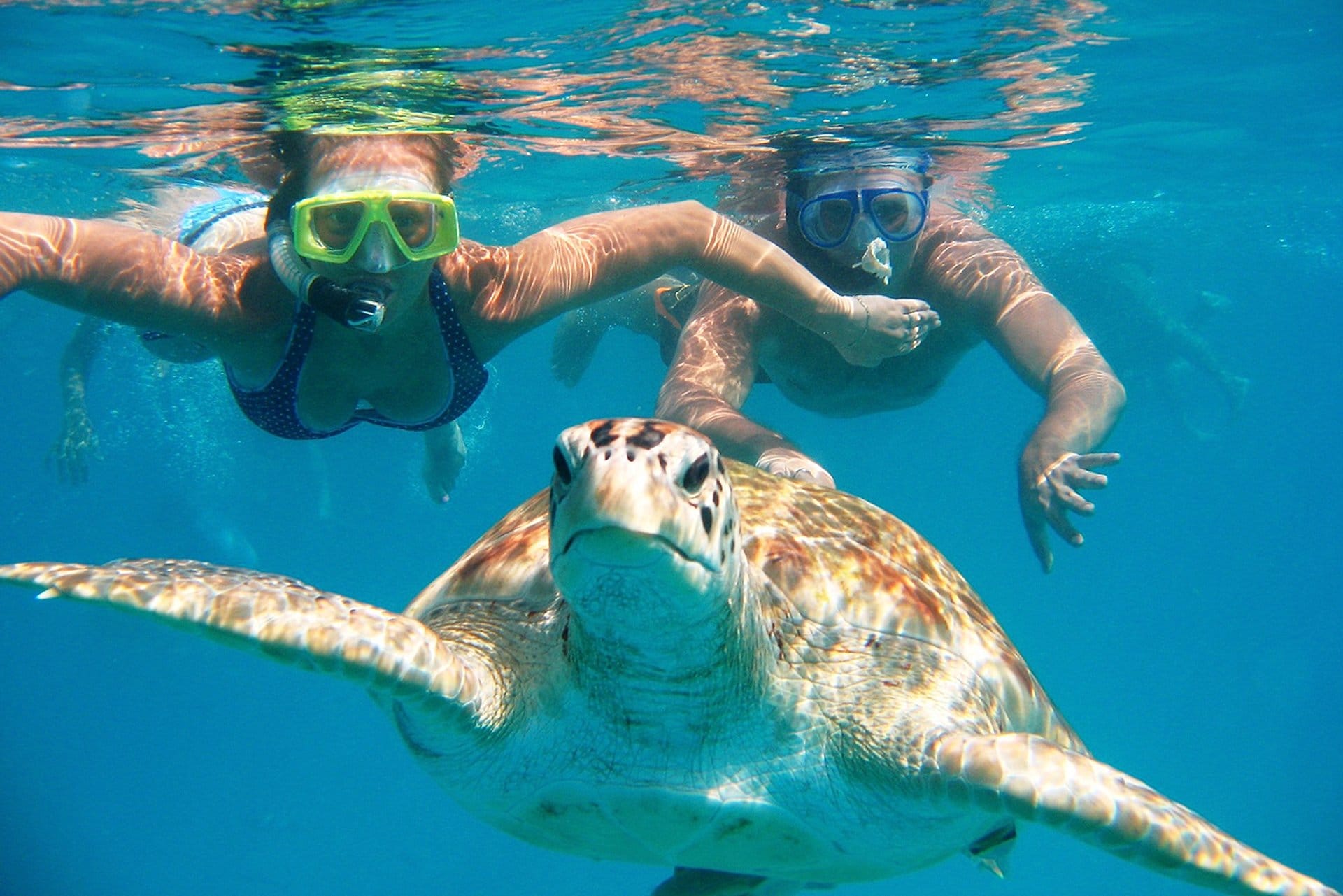 Nadar con tortugas en Máncora