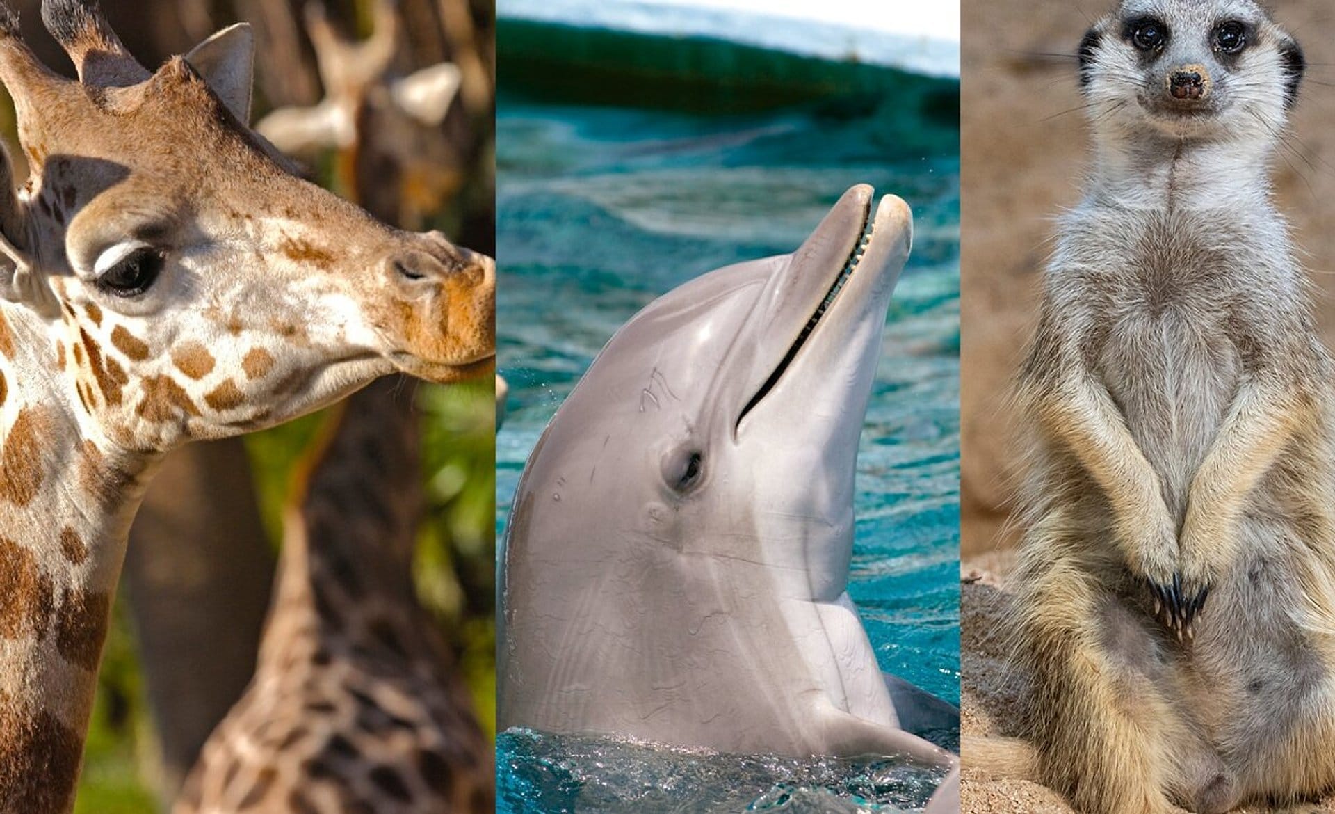 Zoo de Barcelona