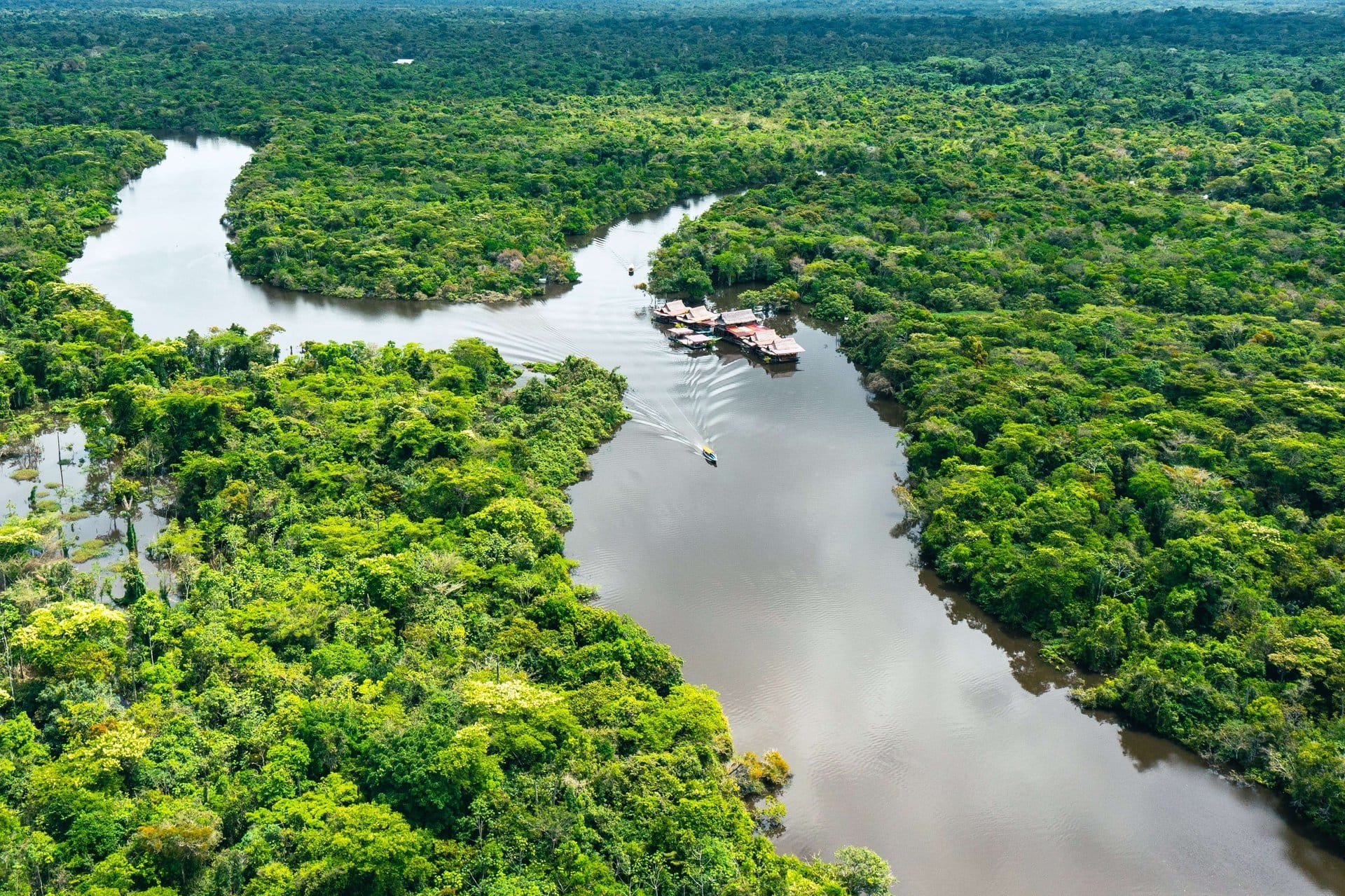 Selva tropical de Iquitos en 2 días