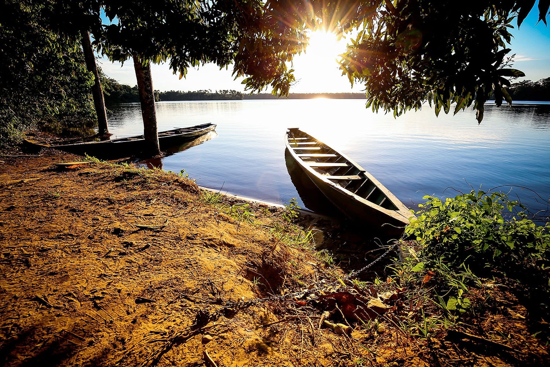 Safari en el Amazonas: día completo