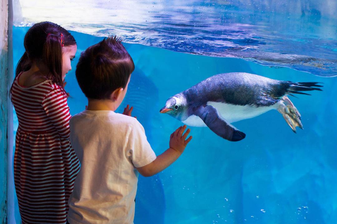 Sea Life Birmingham