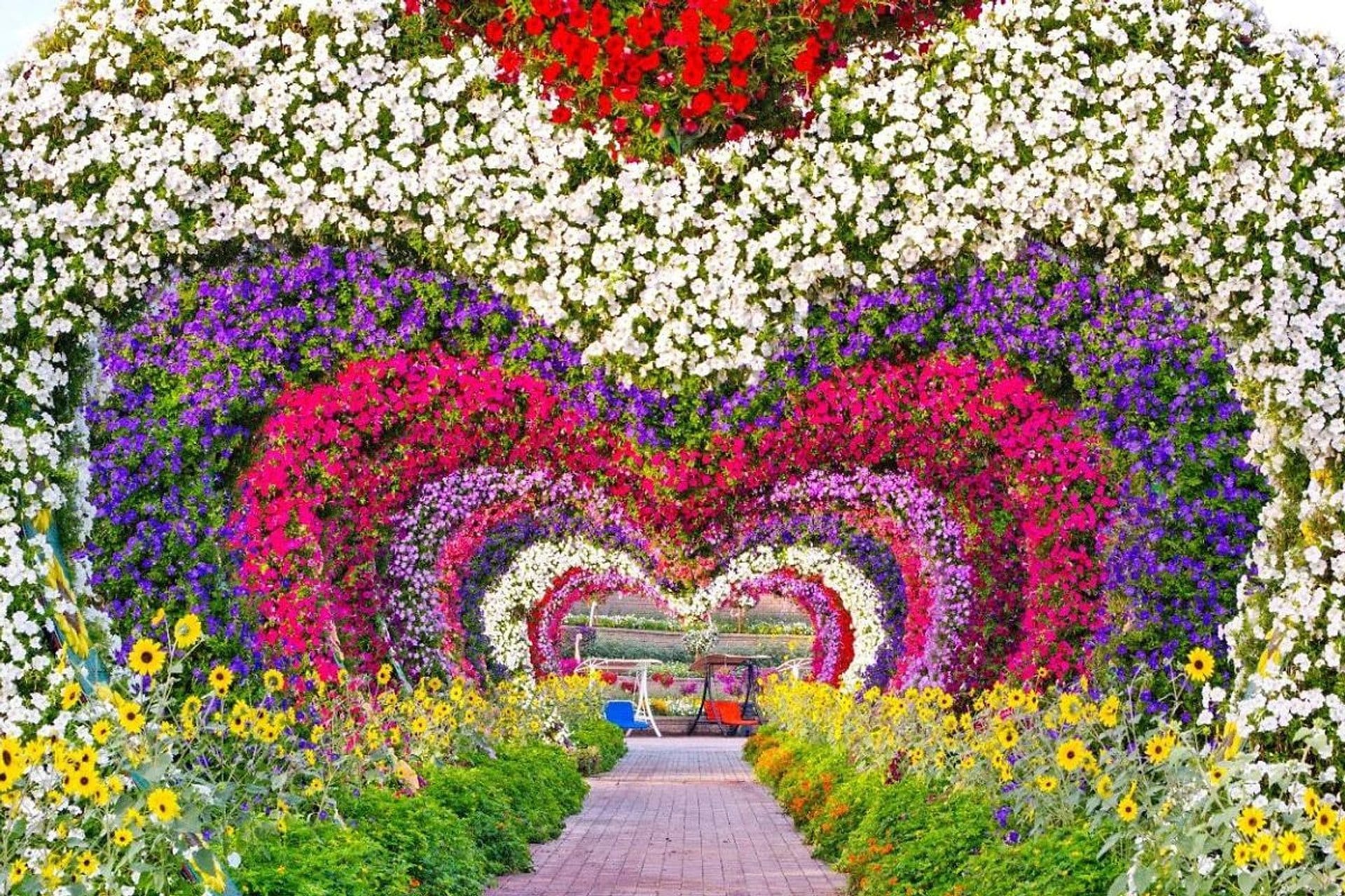 Entradas para el Jardín Miracle Garden