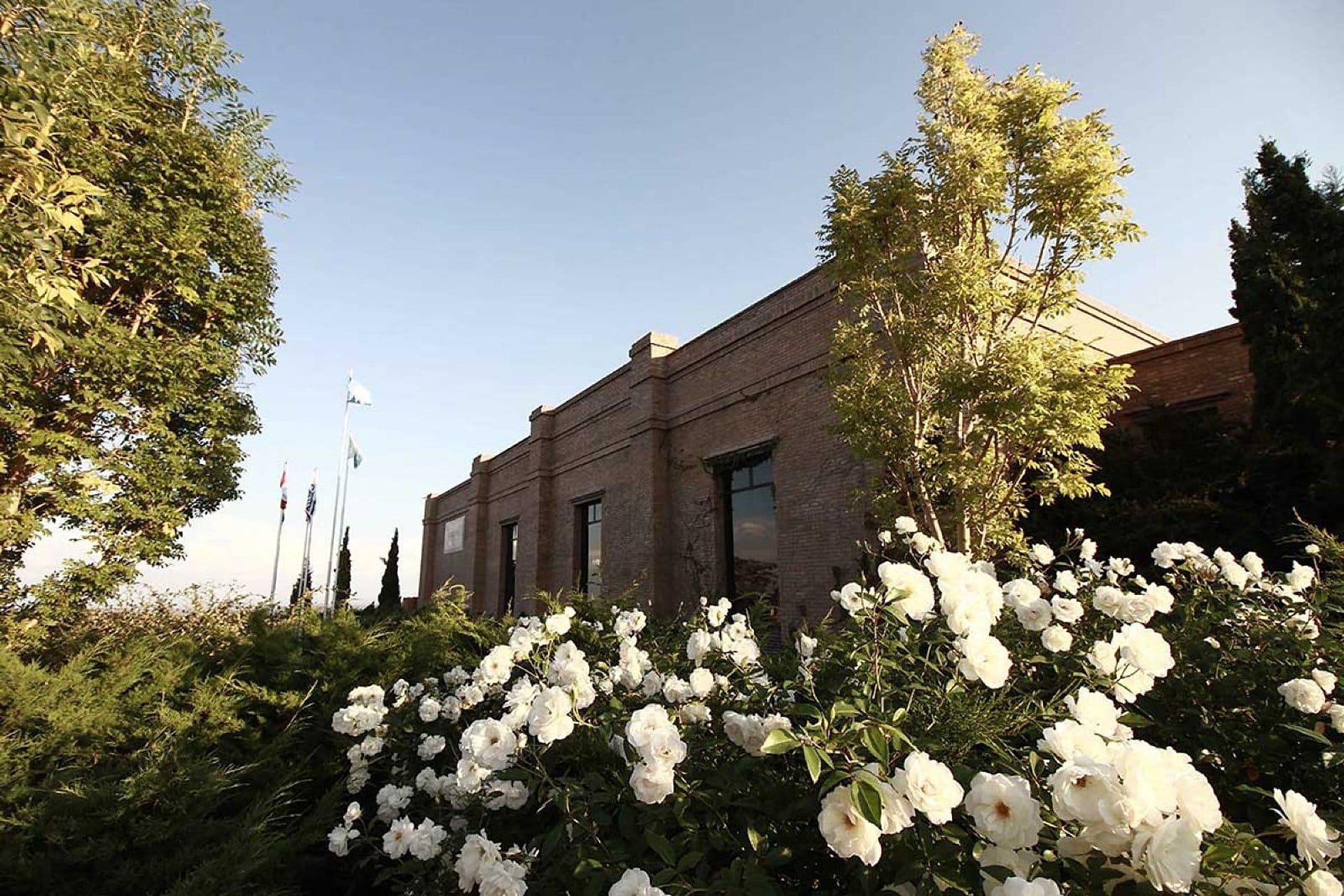 Tour enológico al Valle de Uco