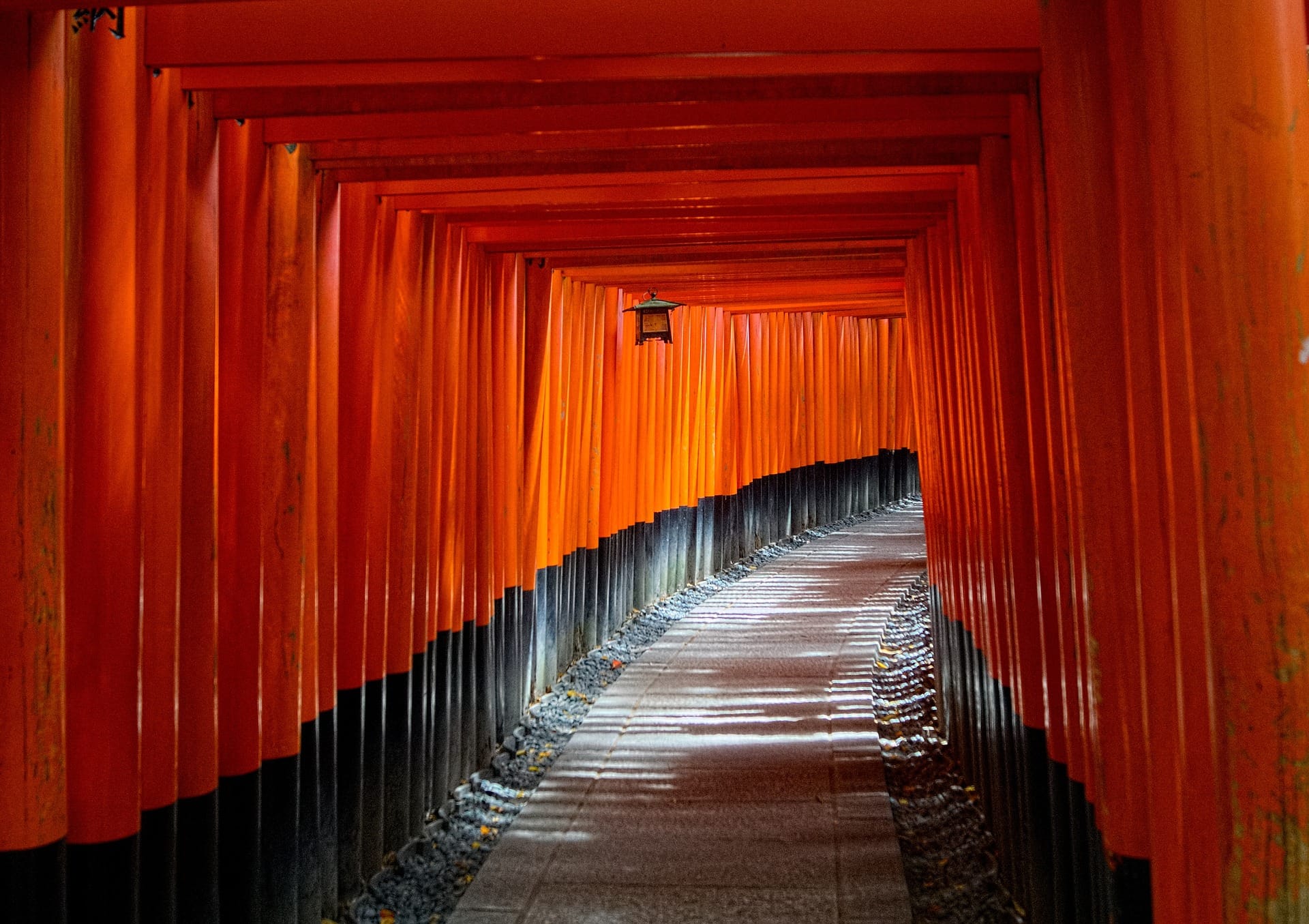 Lo mejor de Kioto: Nijo, Kinkaku-ji y más