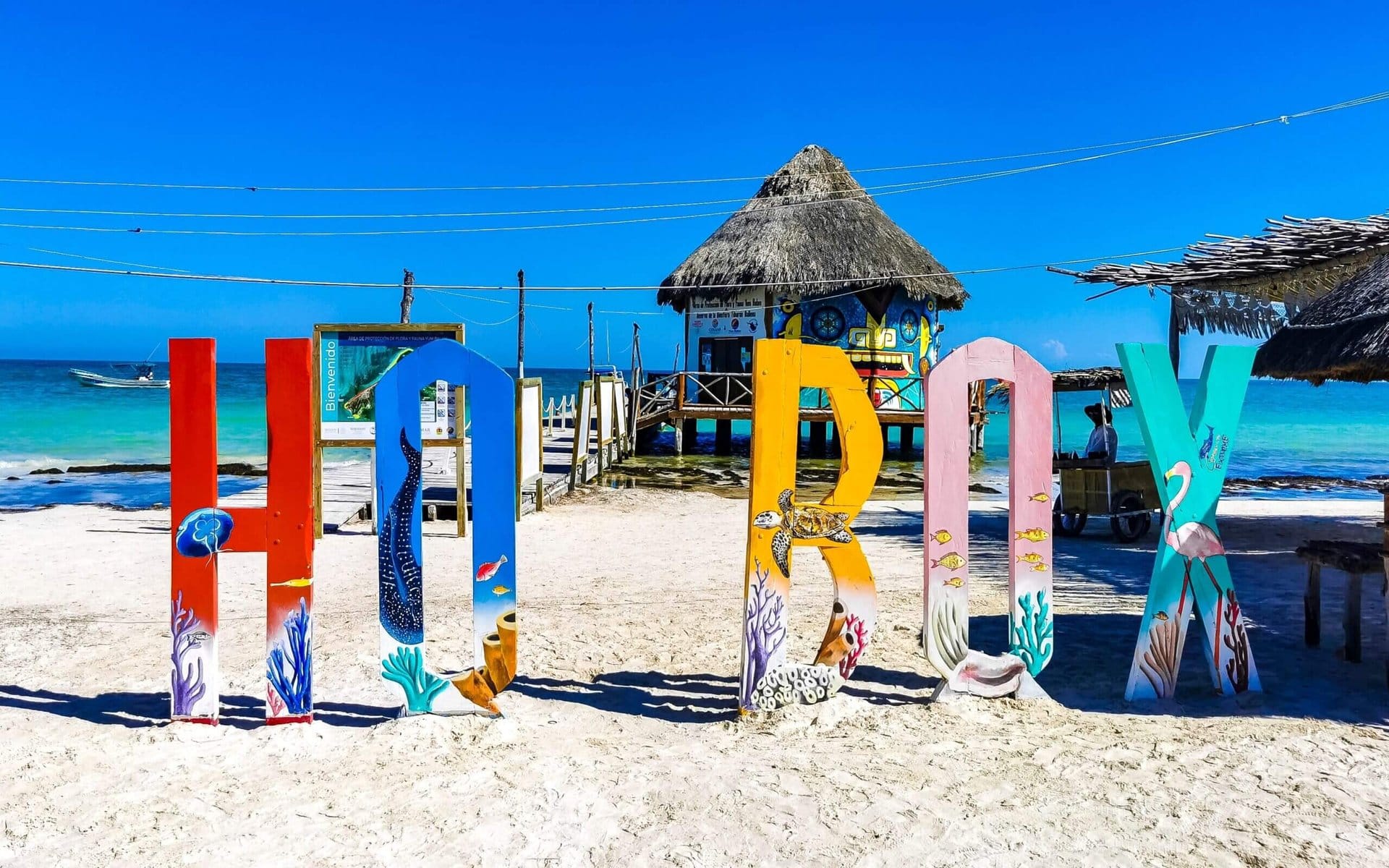 Isla Holbox - Regular