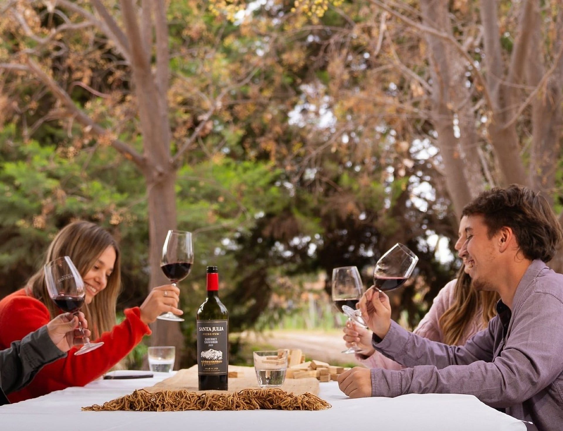 Vinos, viñedos y picnic en bodegas