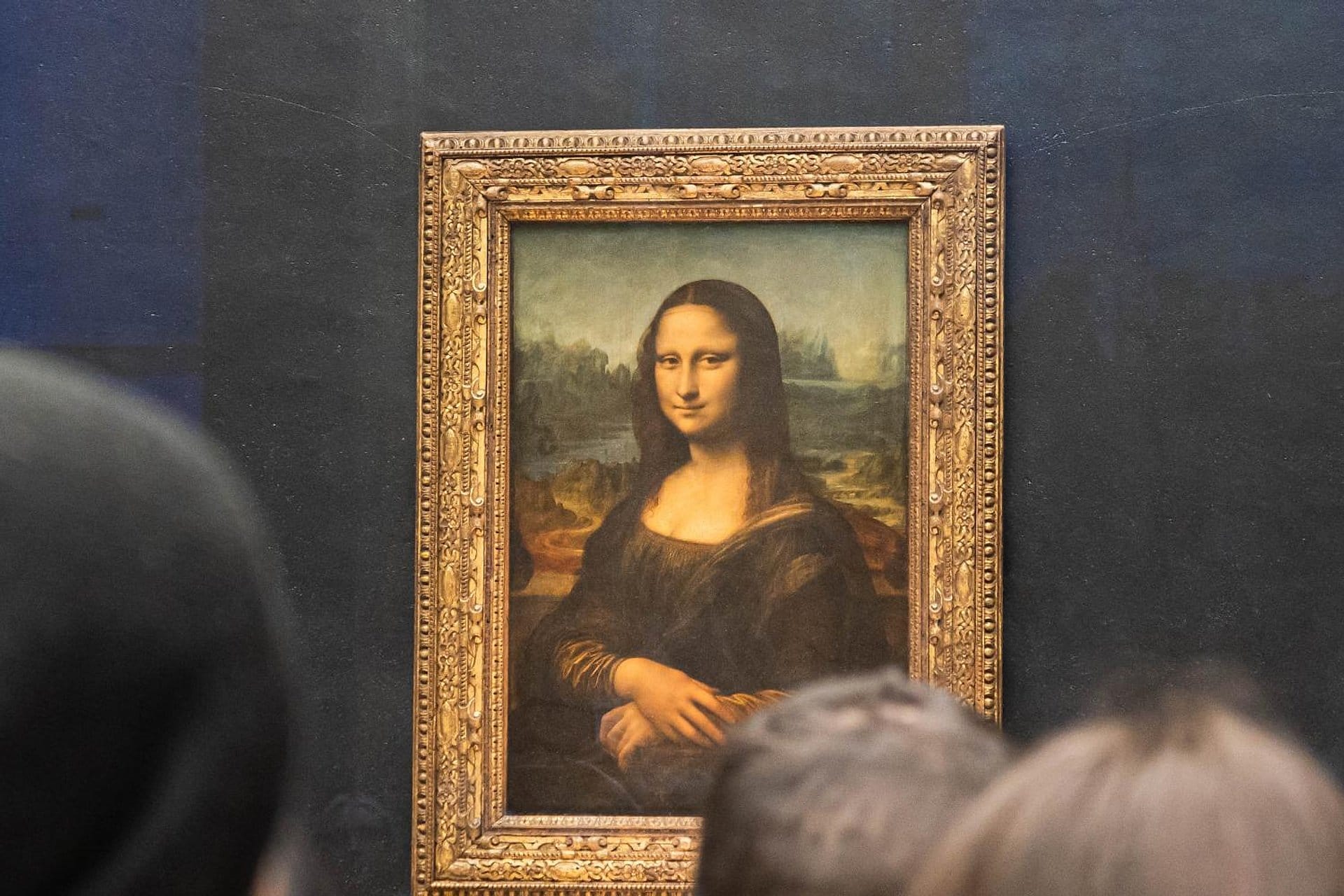 Entrada al Louvre y crucero por el río Sena