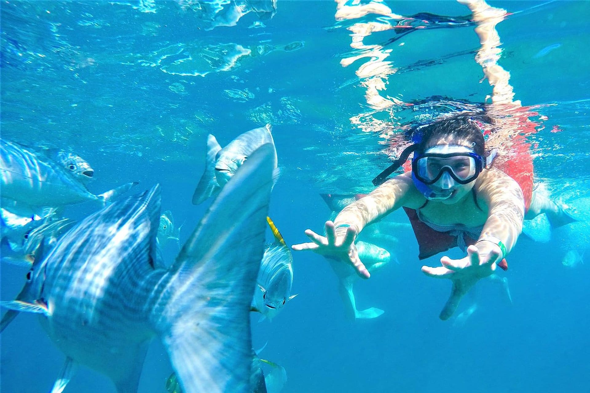 Buceo de lujo en la Bahía de Banderas