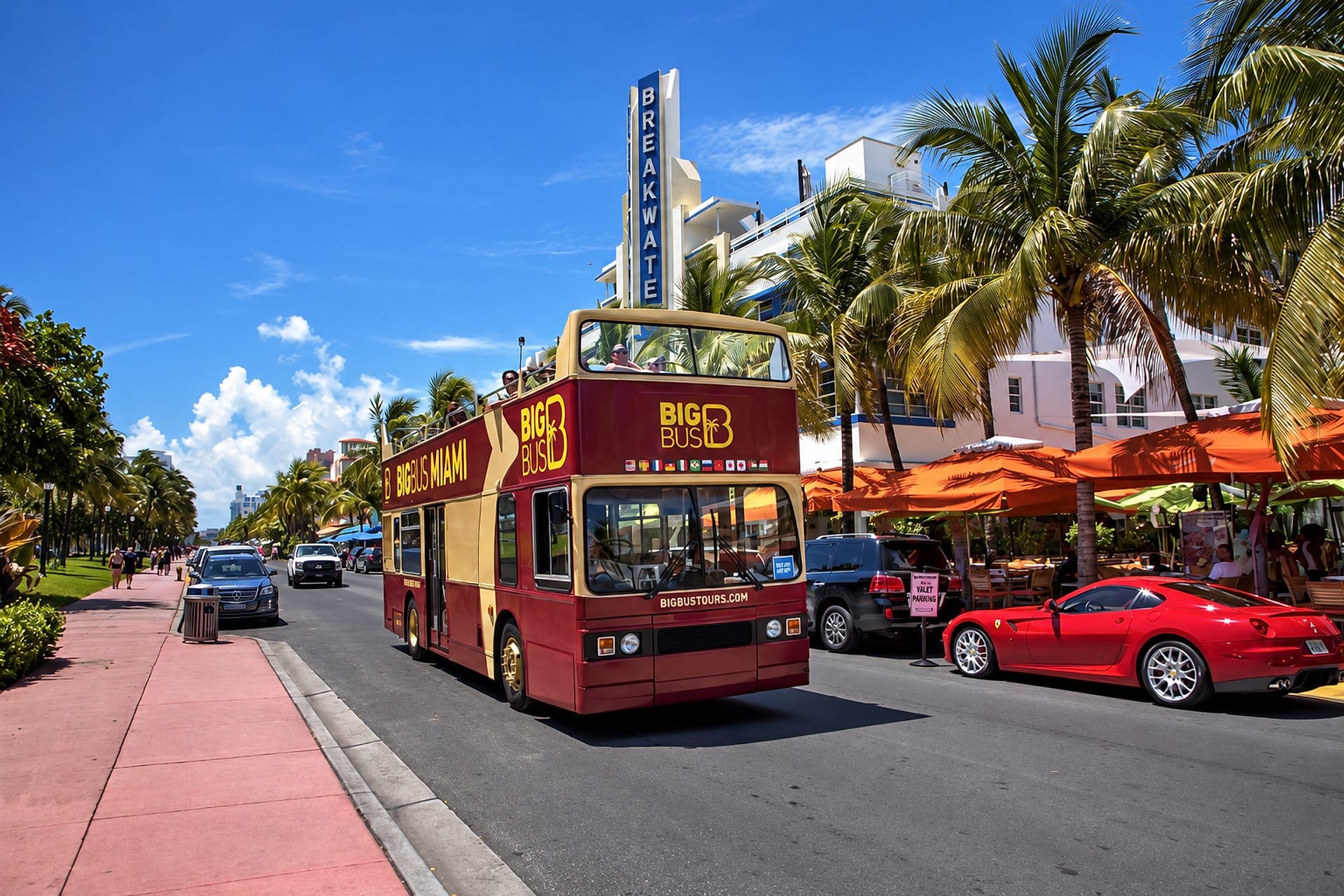 Bus Hop-on Hop-off: todos los circuitos
