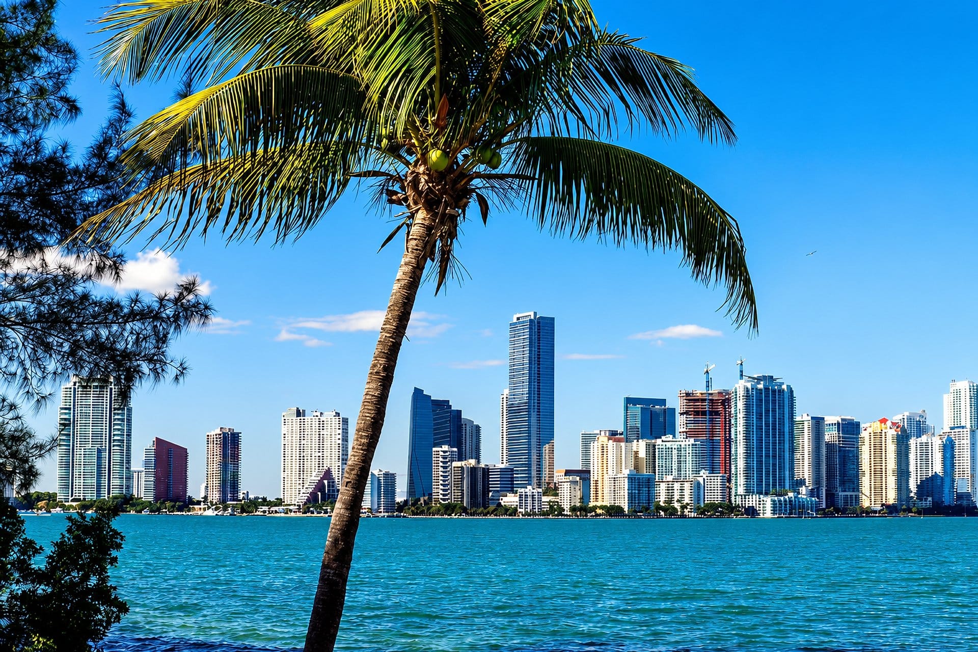 Miami City Tour y paseo por Biscayne