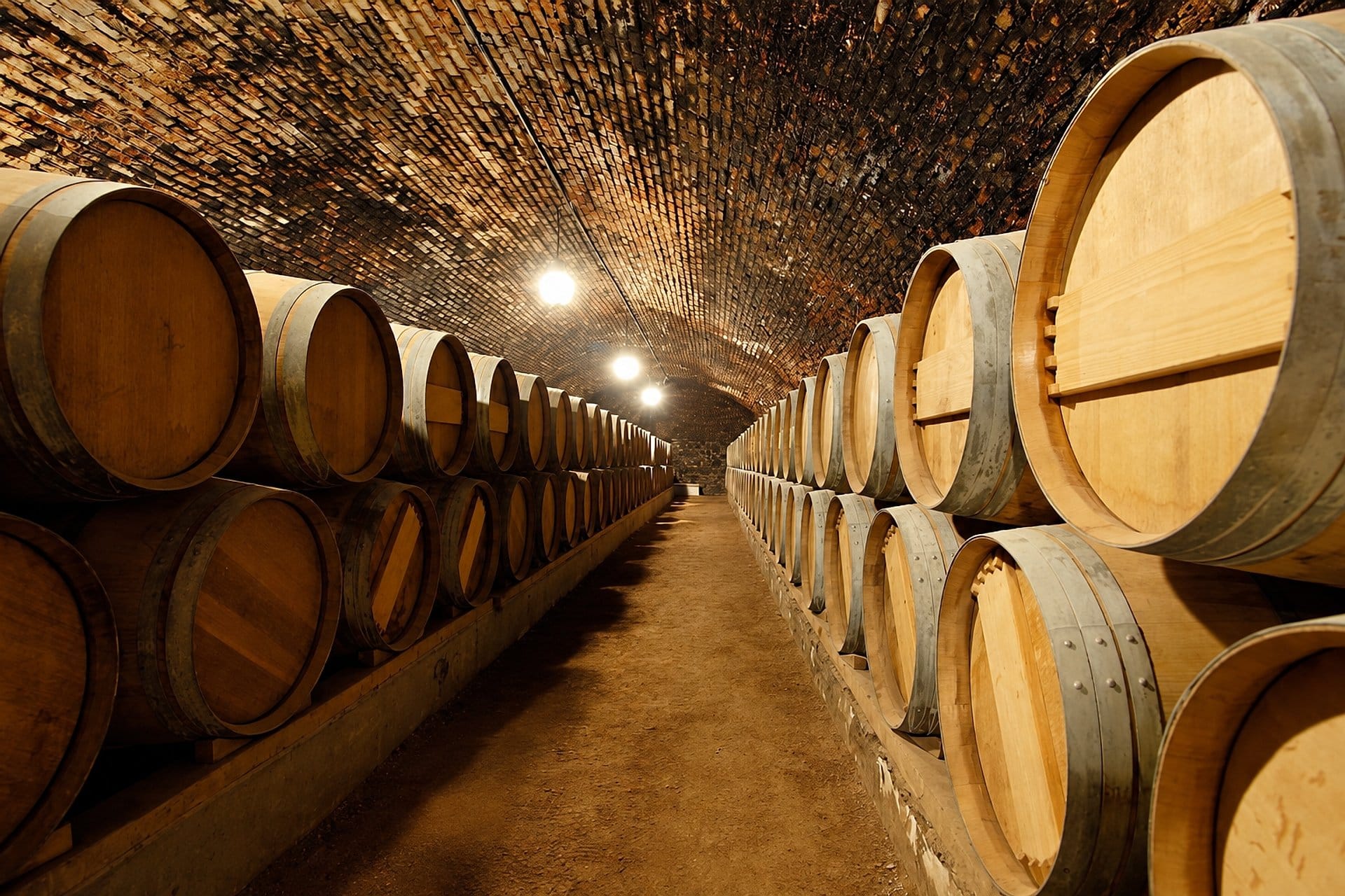 Bodegas Concha y Toro