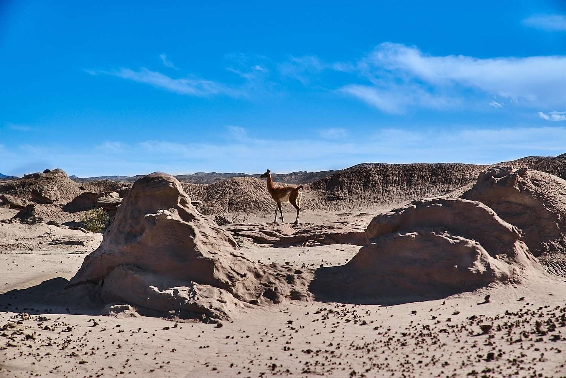 Parque Ischigualasto: Valle de la Luna - Imagen 4