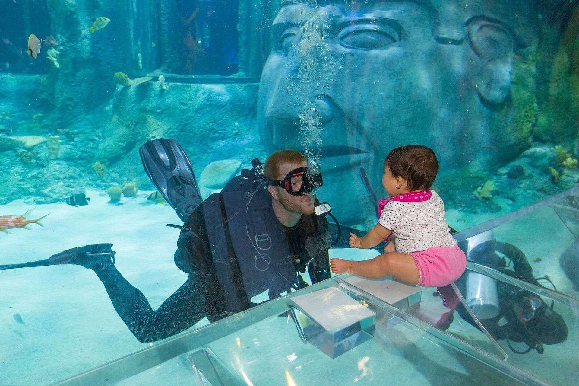 Entrada combinada Madame Tussauds y Sea Life - Imagen 3