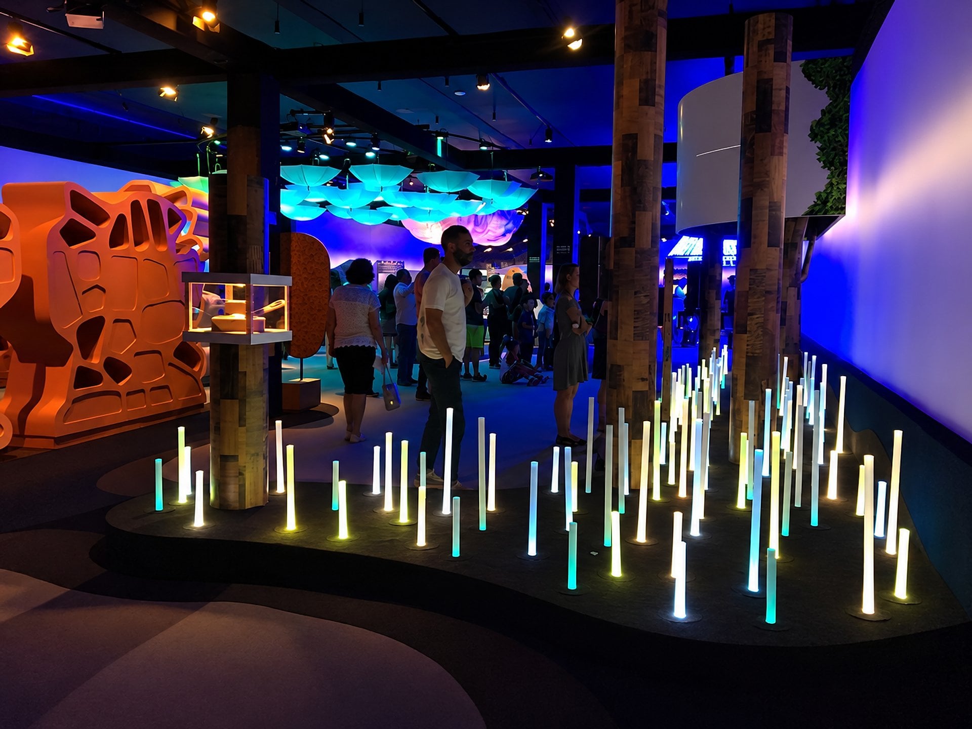 Aqua Rio y Museo del mañana. Imperdible!! - Imagen 4