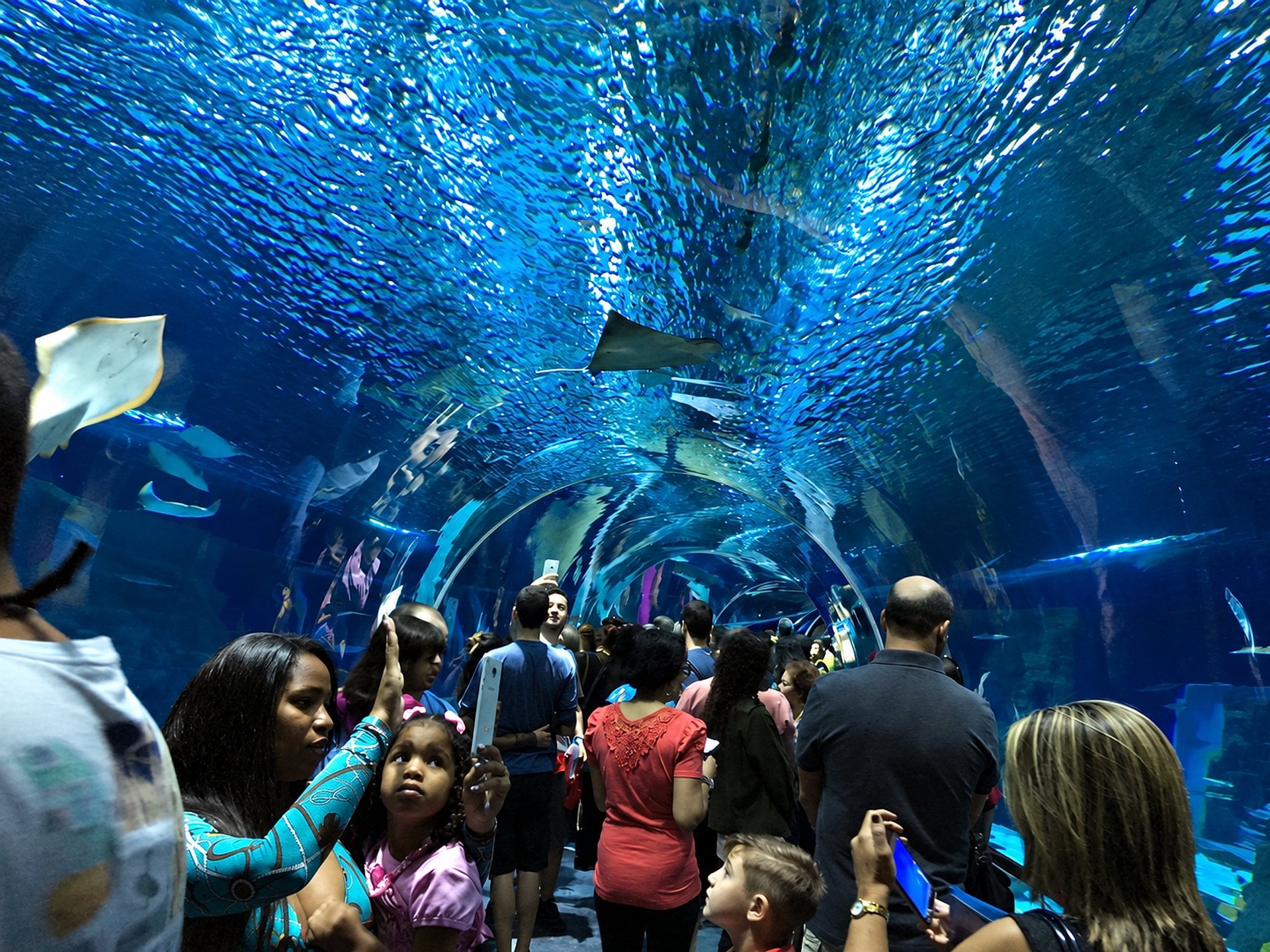 Aqua Rio y Museo del mañana. Imperdible!! - Imagen 2