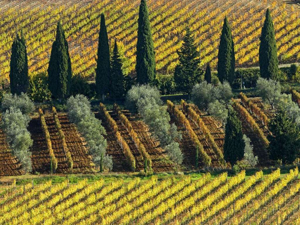 Toscana: comida y degustación de vinos - Imagen 2