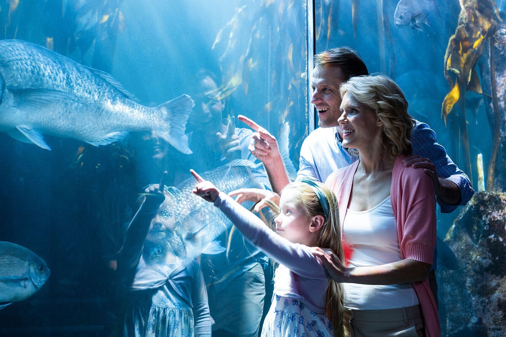 Go City Chicago All-Inclusive Pass - Imagen 2