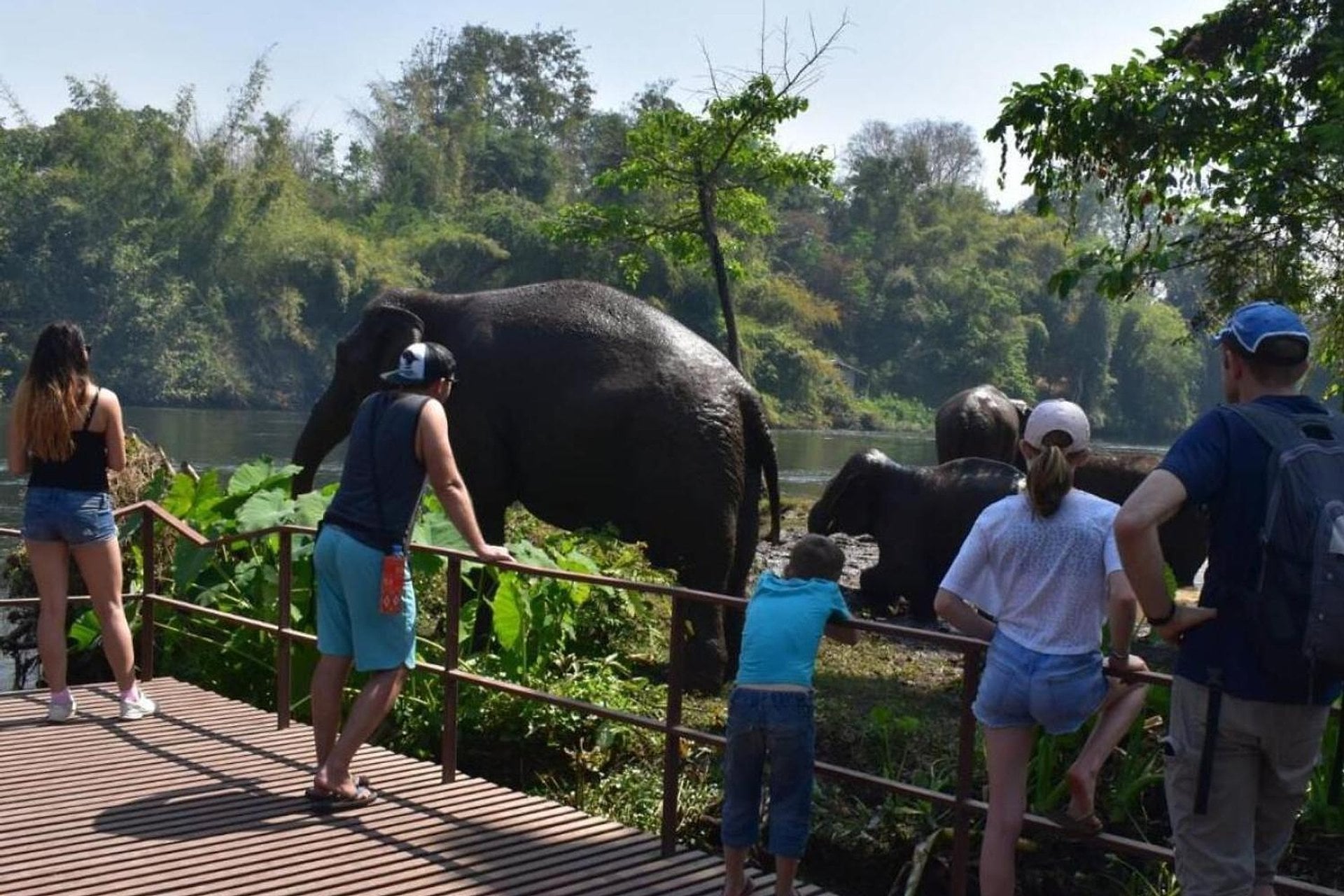 Elefantes en Kanchanaburi desde Bangkok - Imagen 4