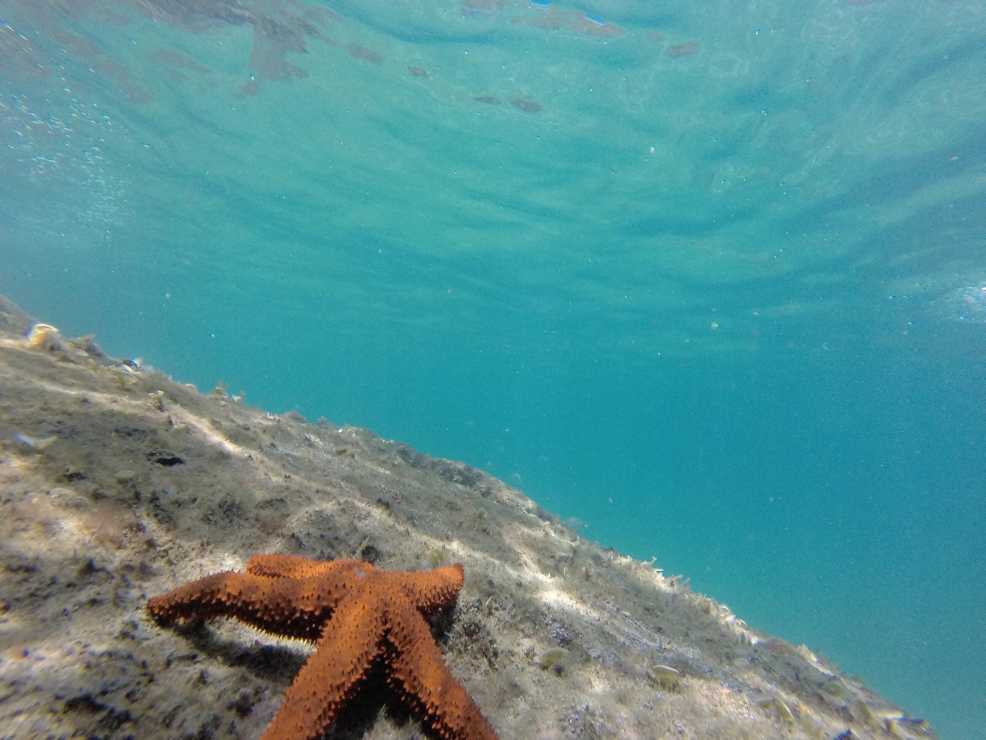 Costa norte de Ilha Grande en lancha rápida - Imagen 2