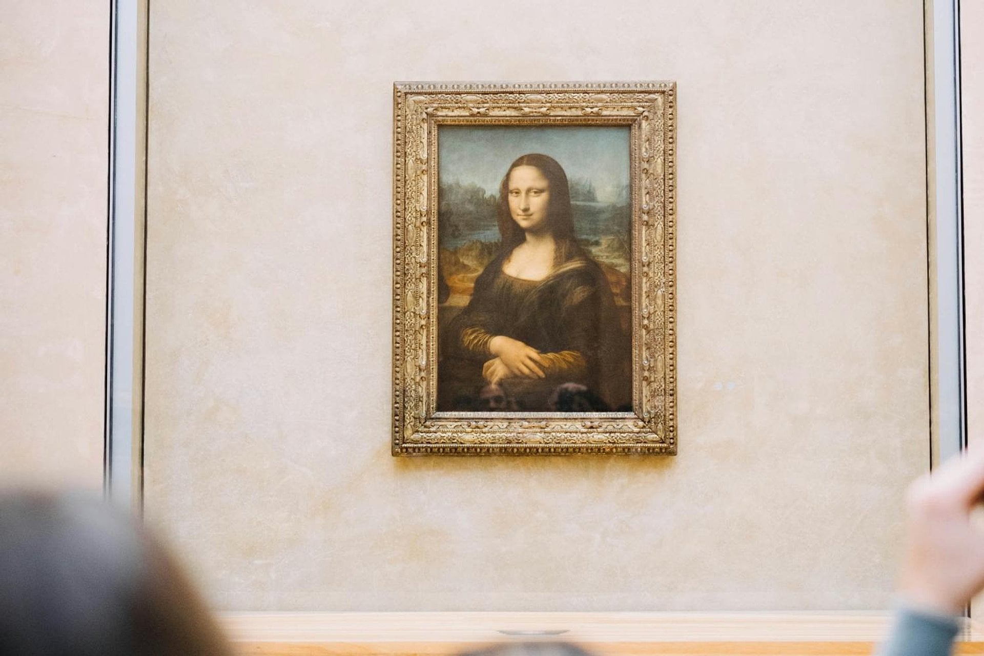 Louvre con entrada prioritaria y Mona Lisa - Imagen 4