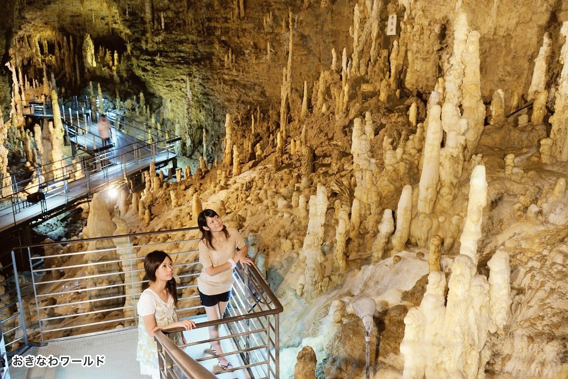 Okinawa: Castillo de Shuri y Okinawa World - Imagen 2