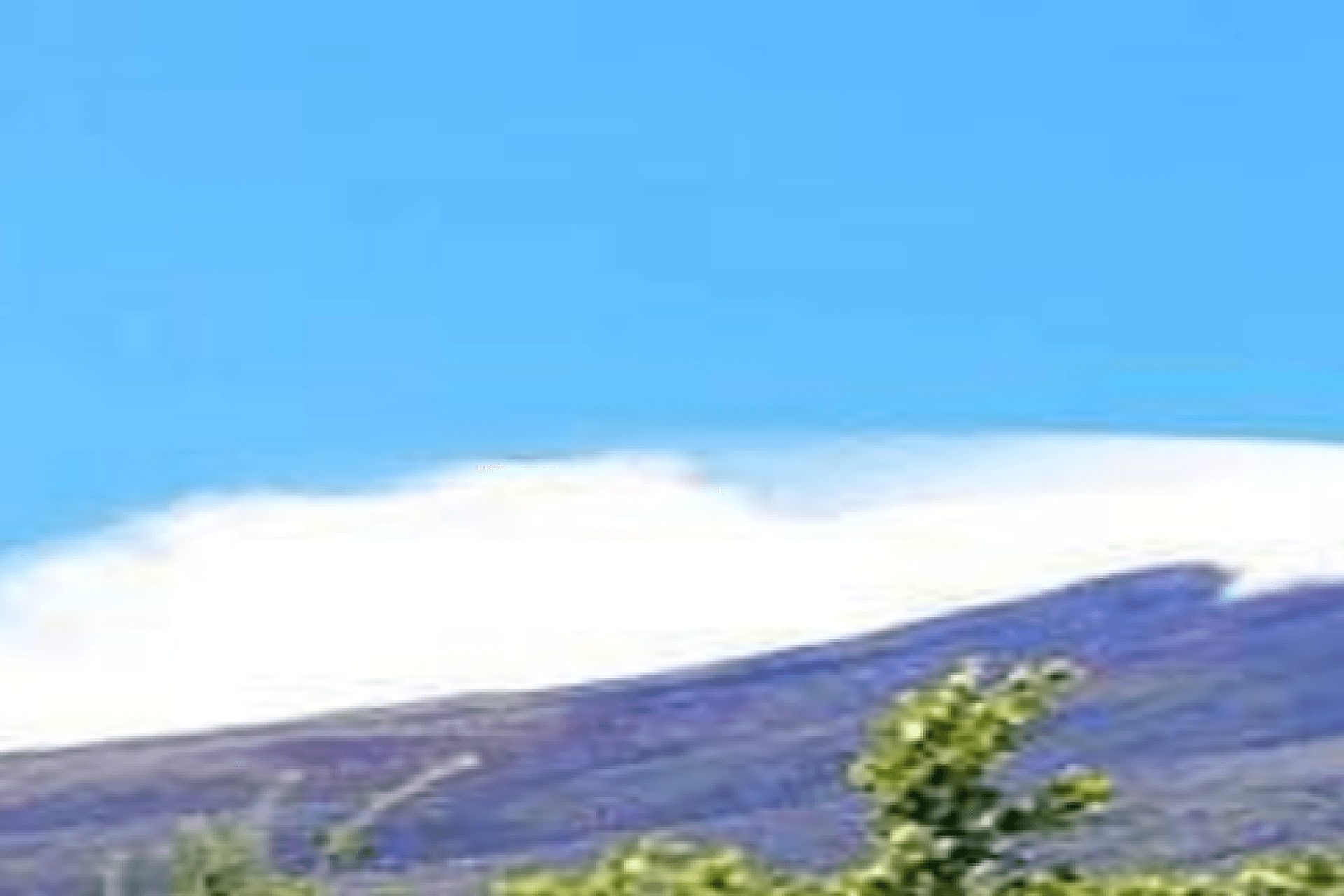Tour en bus por el monte Fuji y Hakone - Imagen 2