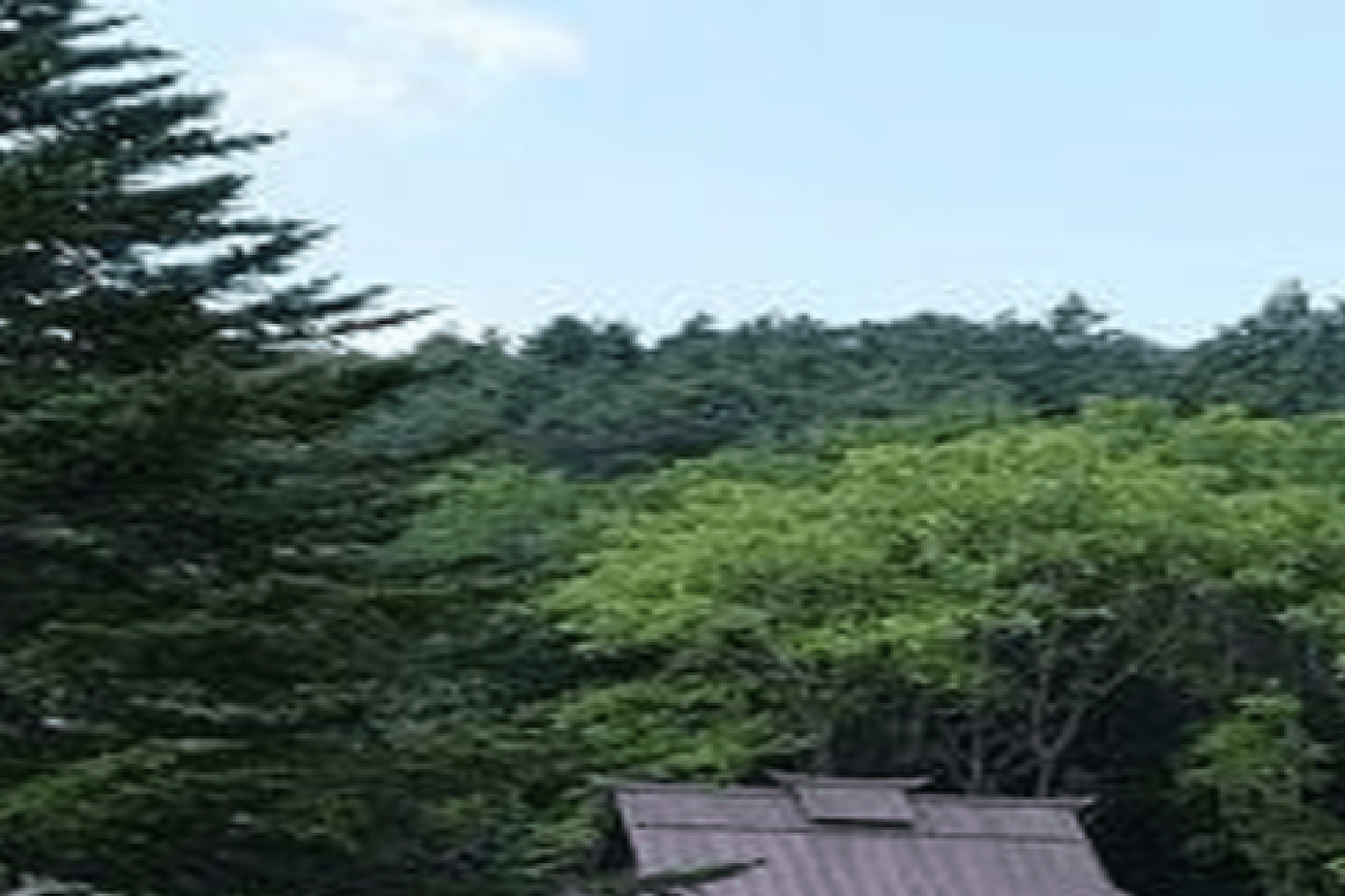 Tour en bus por el monte Fuji y Hakone - Imagen 3