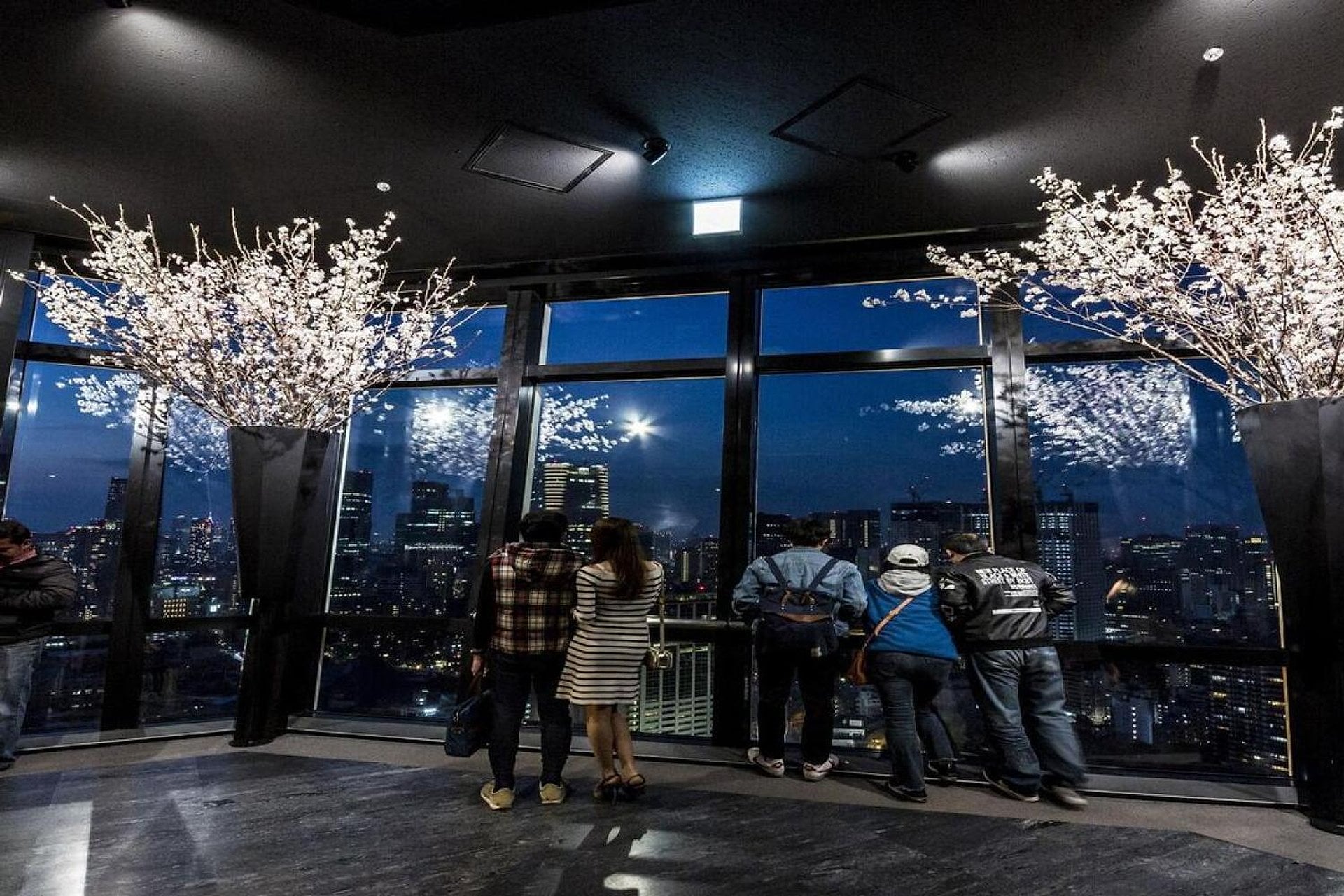 Entrada al Observatorio de la Torre de Tokio - Imagen 2