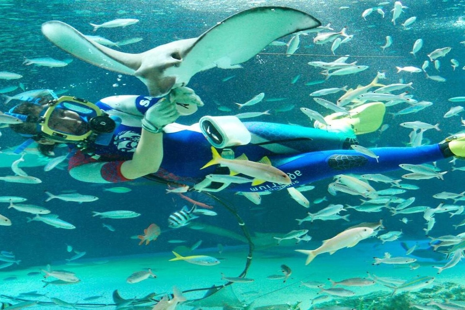 Acuario Sunshine - Imagen 2