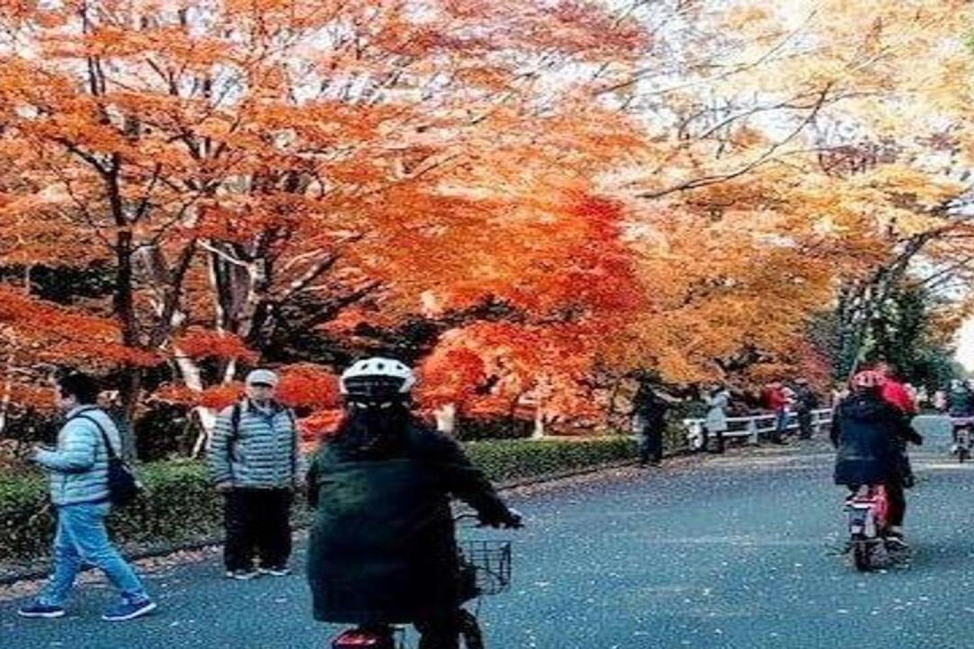 Tour en bicicleta eléctrica por Tokio - Imagen 2