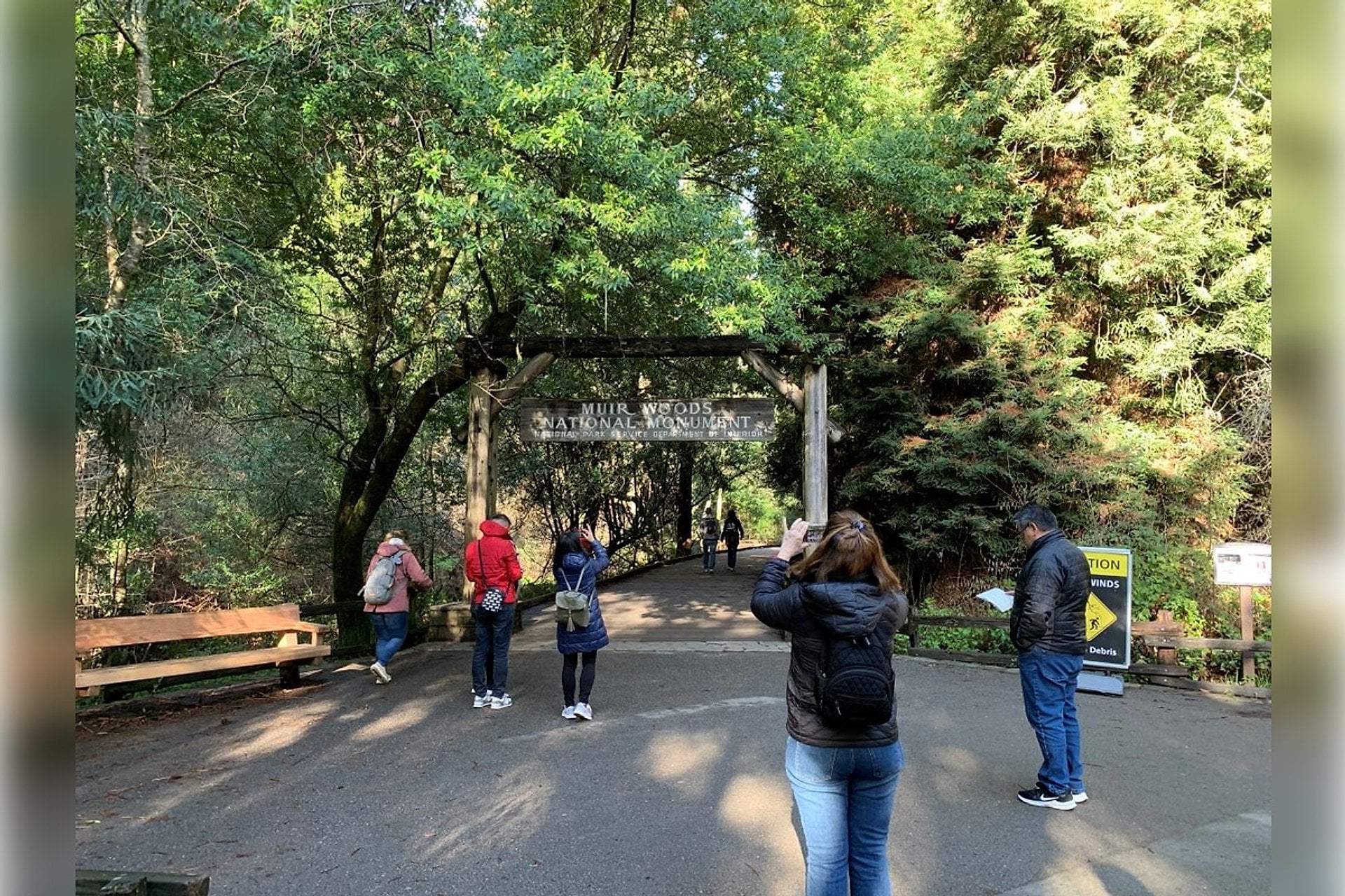 Muir Woods y Sausalito: medio día - Imagen 3