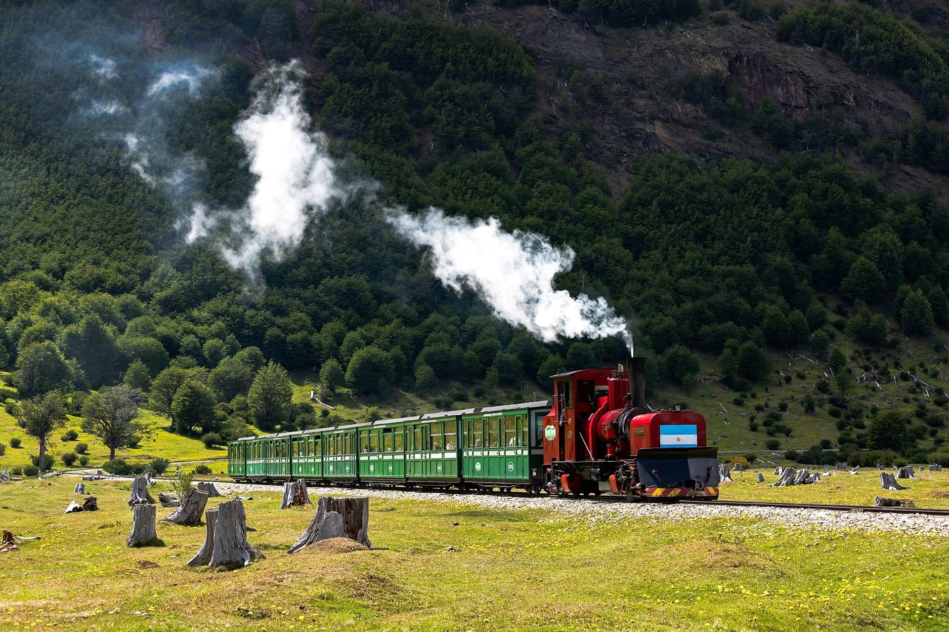 Tren del Fin del Mundo: Clase Premium - Imagen 2