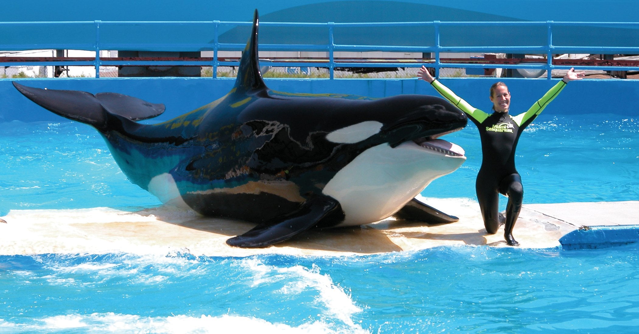 Miami Go City Explorer Pass - Imagen 4