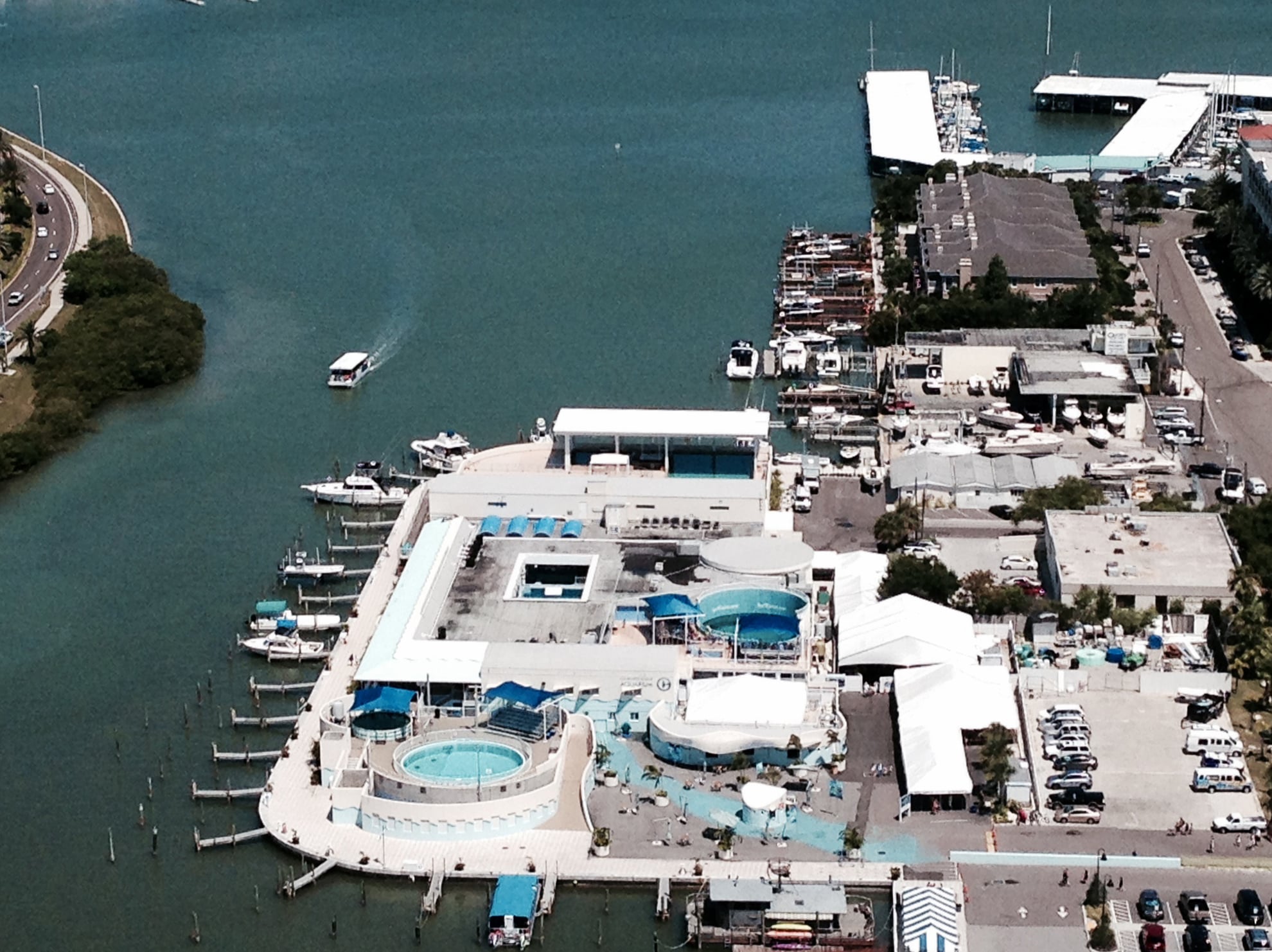 Entrada al Acuario Marino de Clearwater - Imagen 4