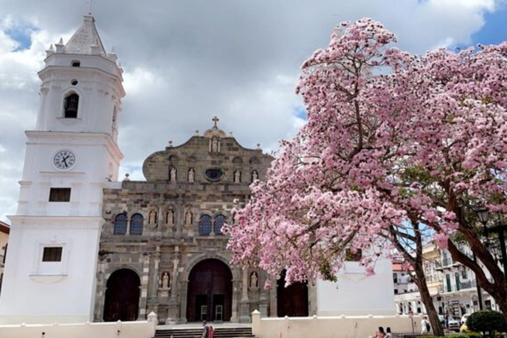 Recorrido por los canales de la ciudad - Imagen 4
