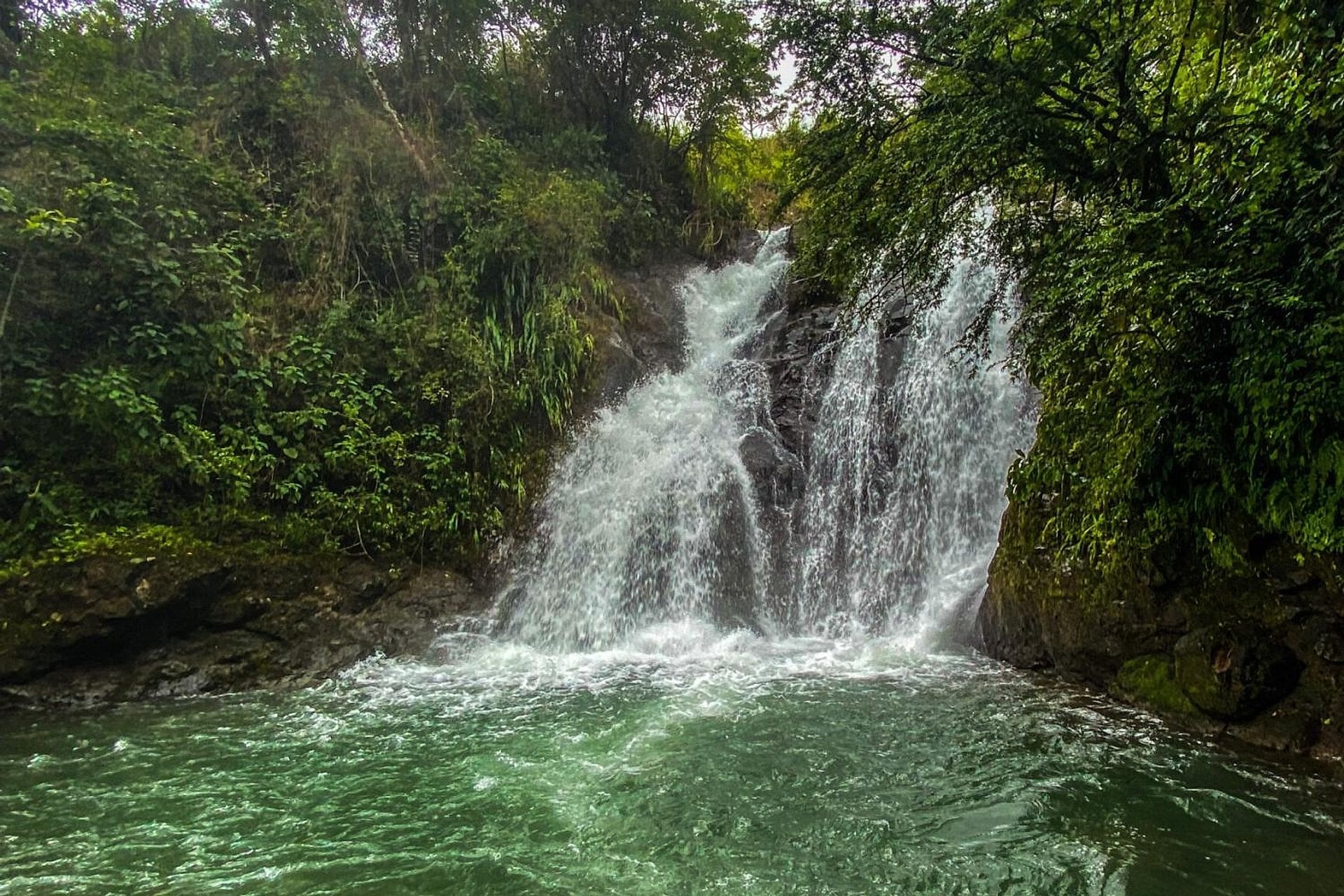 Aventura natural en Los Planes de Gualaca - Imagen 3