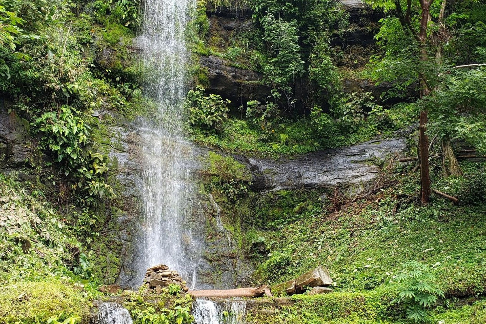 Aventura cultural y natural en Boquete - Imagen 2